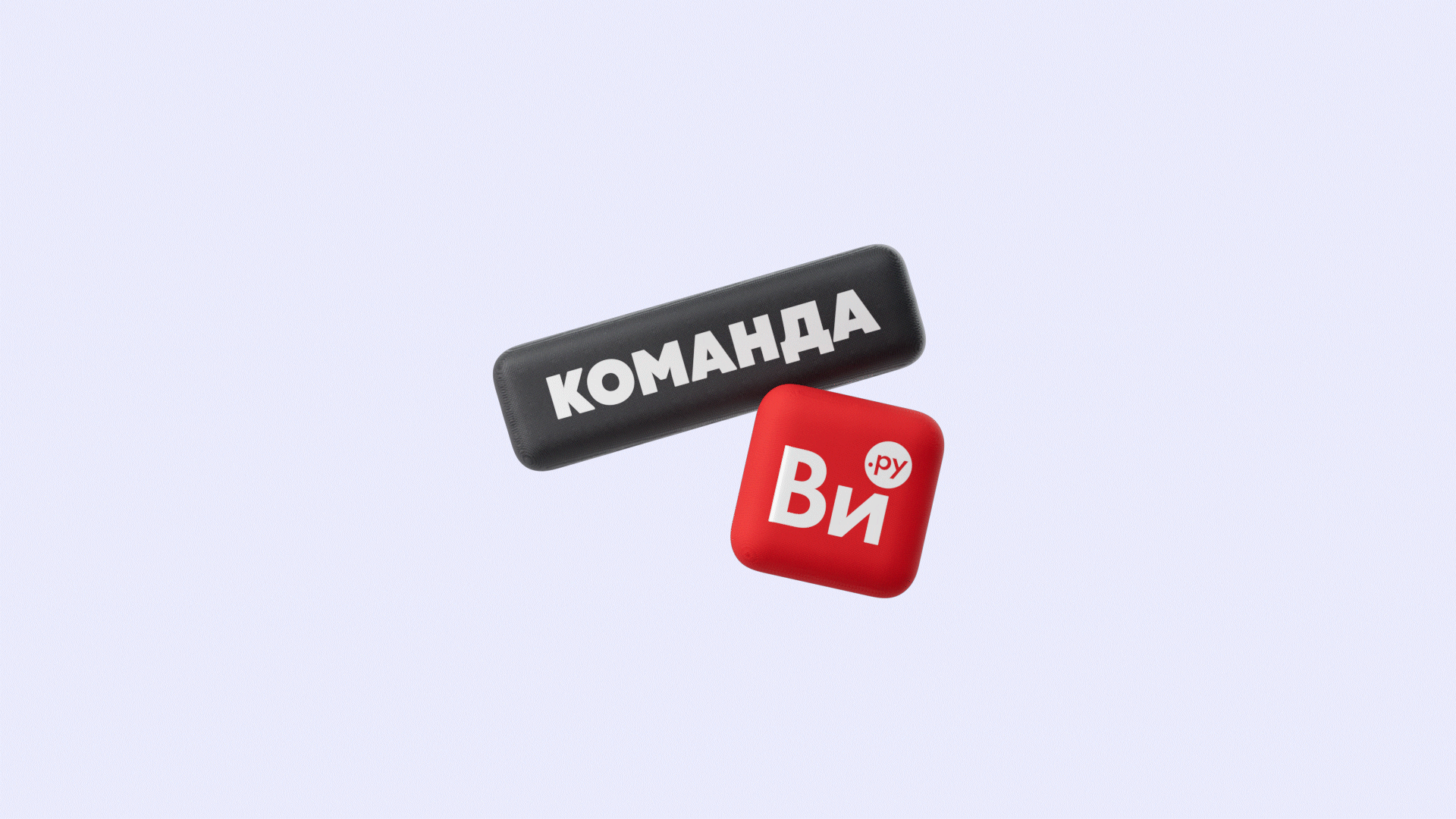 TEAM MERCH | MINIMALISM | VI.RU — Изображение №1 — Брендинг, Анимация на Dprofile
