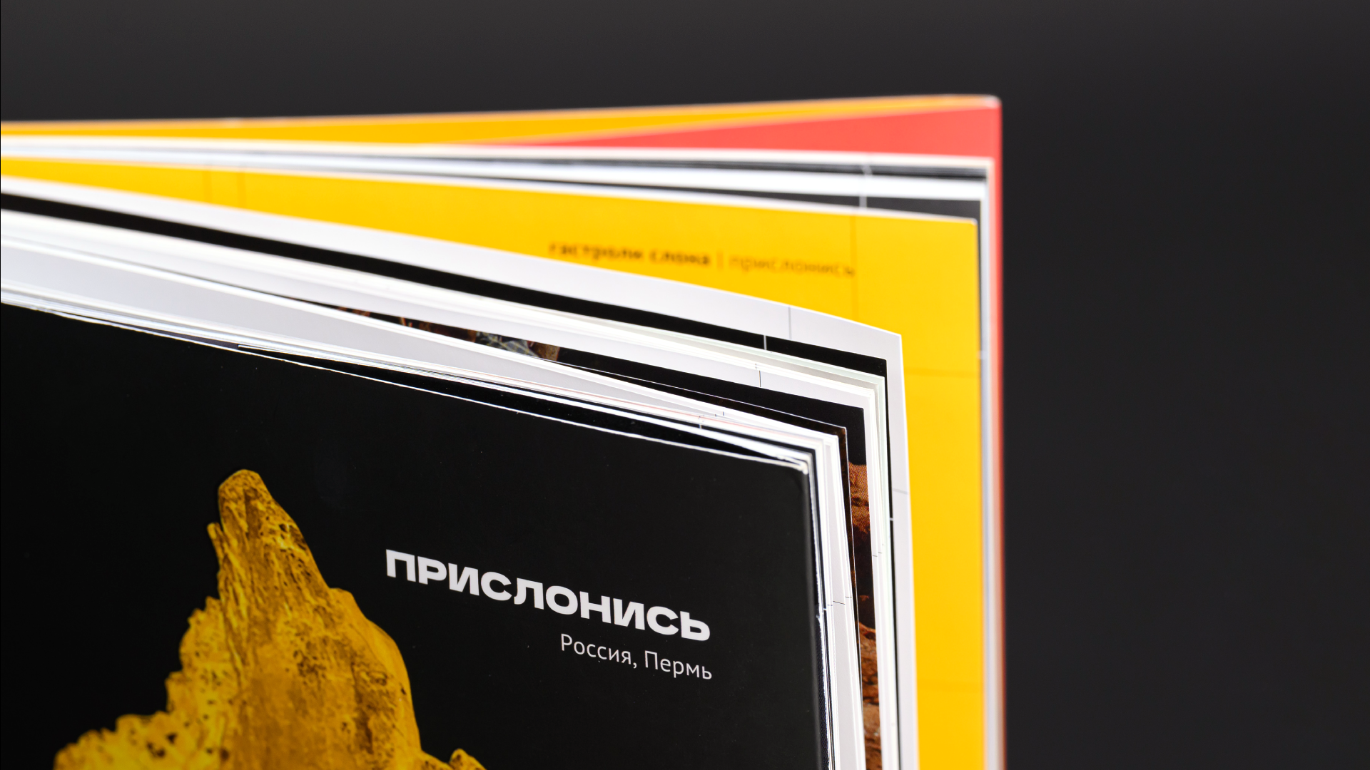 Журнал «Прислонись» — Изображение №1 — Графика, Маркетинг на Dprofile