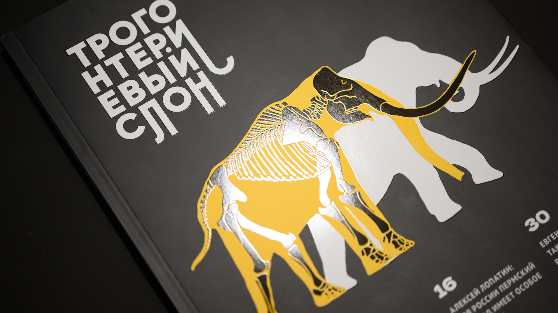 Журнал «Прислонись» — Изображение №26 — Графика, Маркетинг на Dprofile