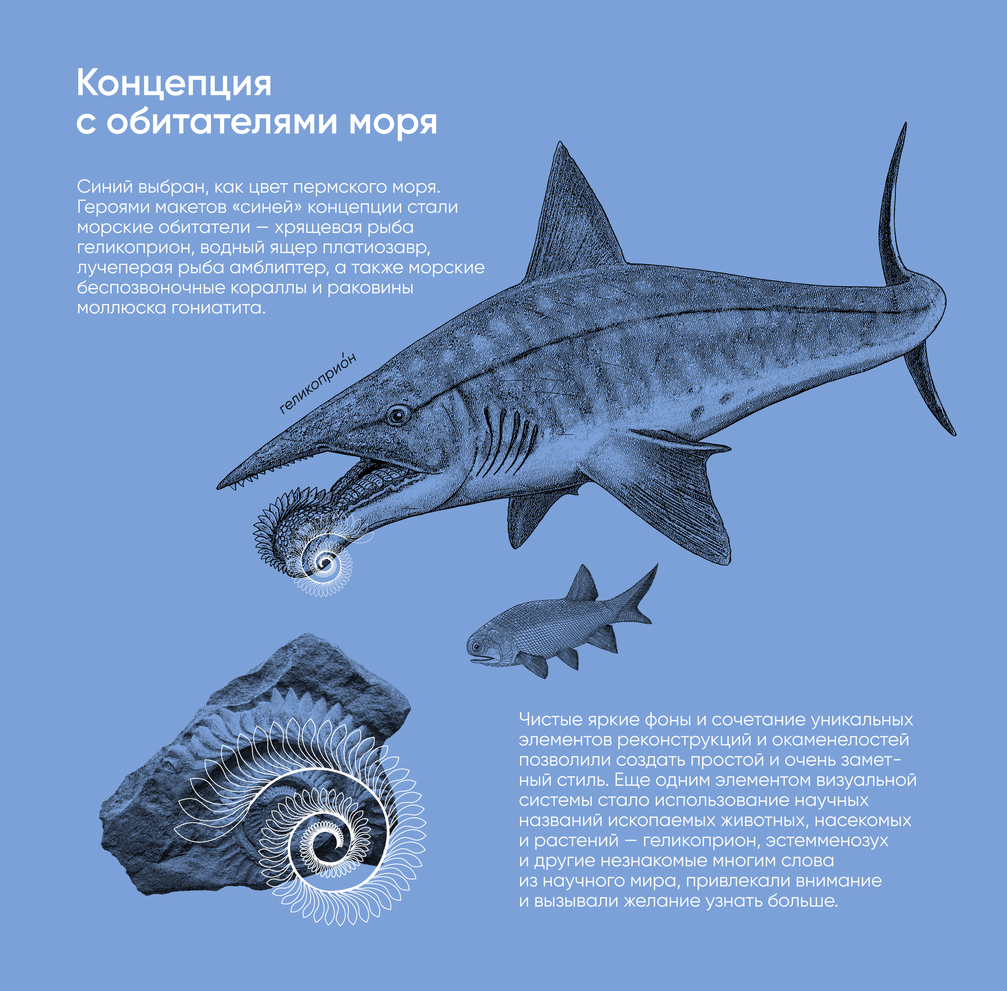 Сувенирная банкнота Гознака — Изображение №7 — Брендинг, Маркетинг на Dprofile