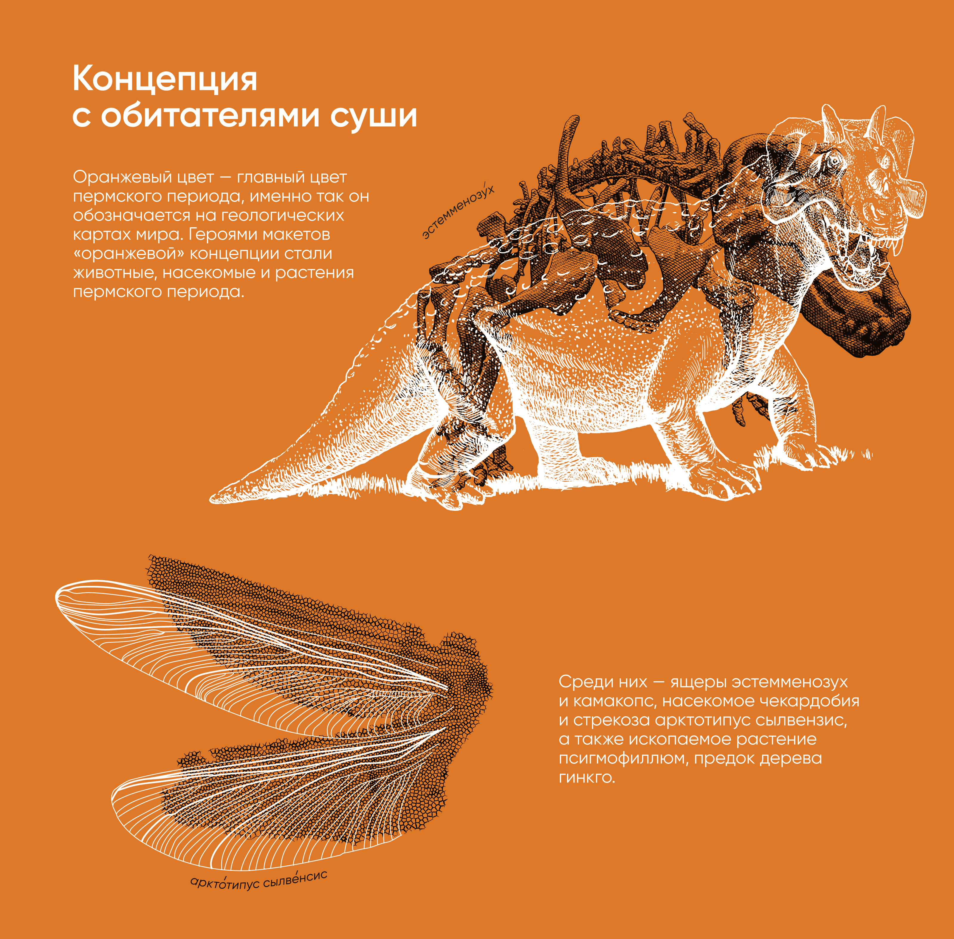Сувенирная банкнота Гознака — Изображение №6 — Брендинг, Маркетинг на Dprofile