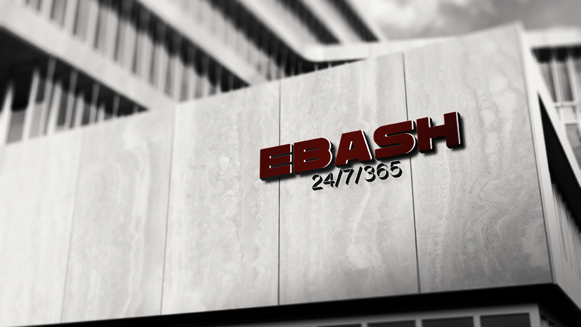 Концепция мерча EBASH — Изображение №16 — Брендинг, Графика на Dprofile