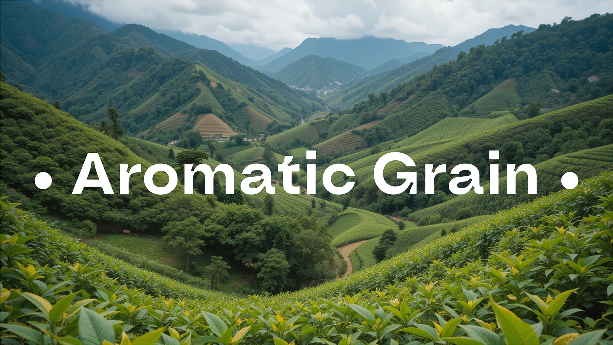 Дизайн упаковки кофе Aromatic Grain — Изображение №12 — Брендинг, Графика на Dprofile
