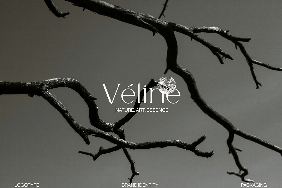 Cosmetic Brand Identity — Изображение №1 — Брендинг на Dprofile