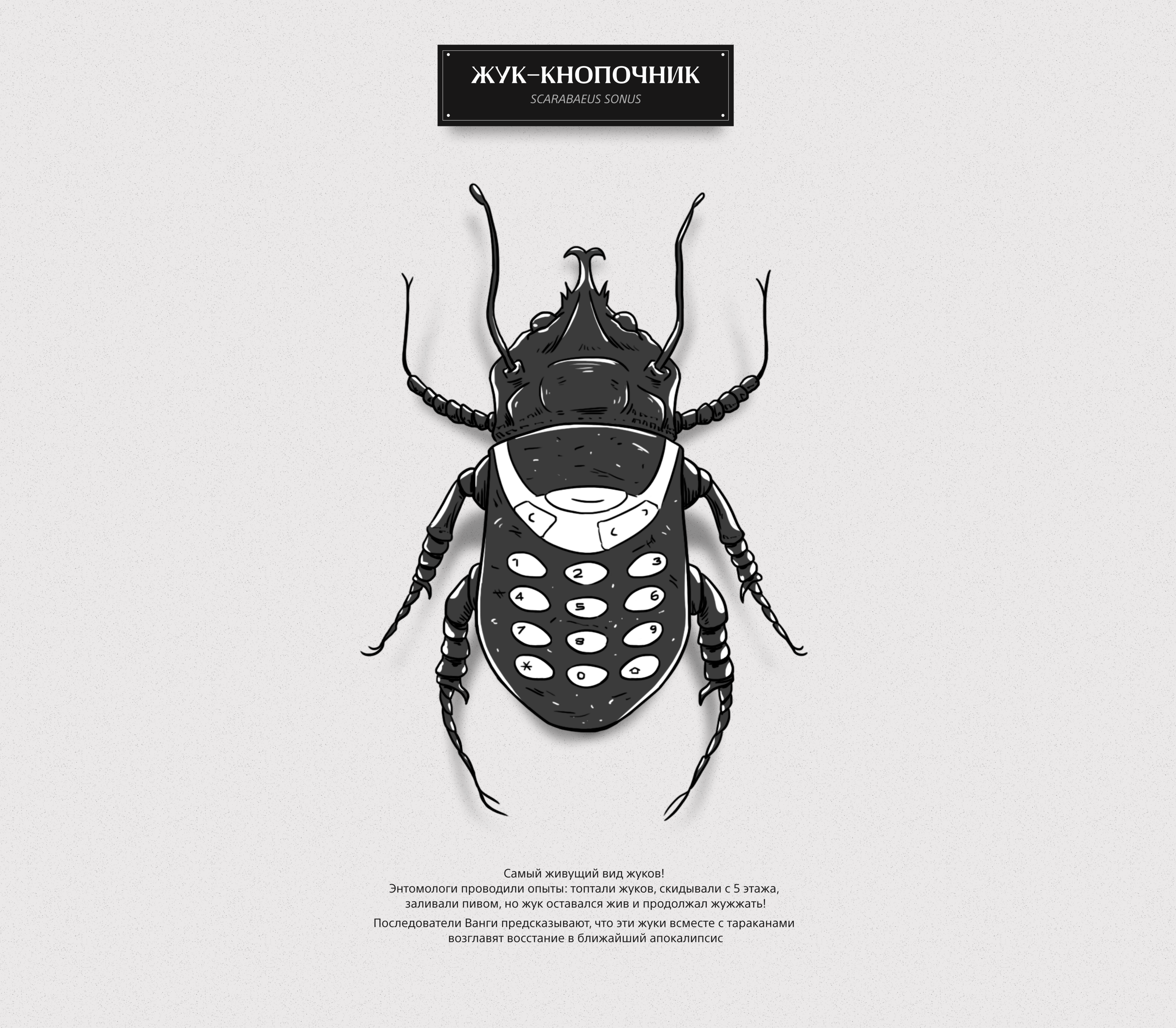 Жукариум — Изображение №6 — Иллюстрация на Dprofile