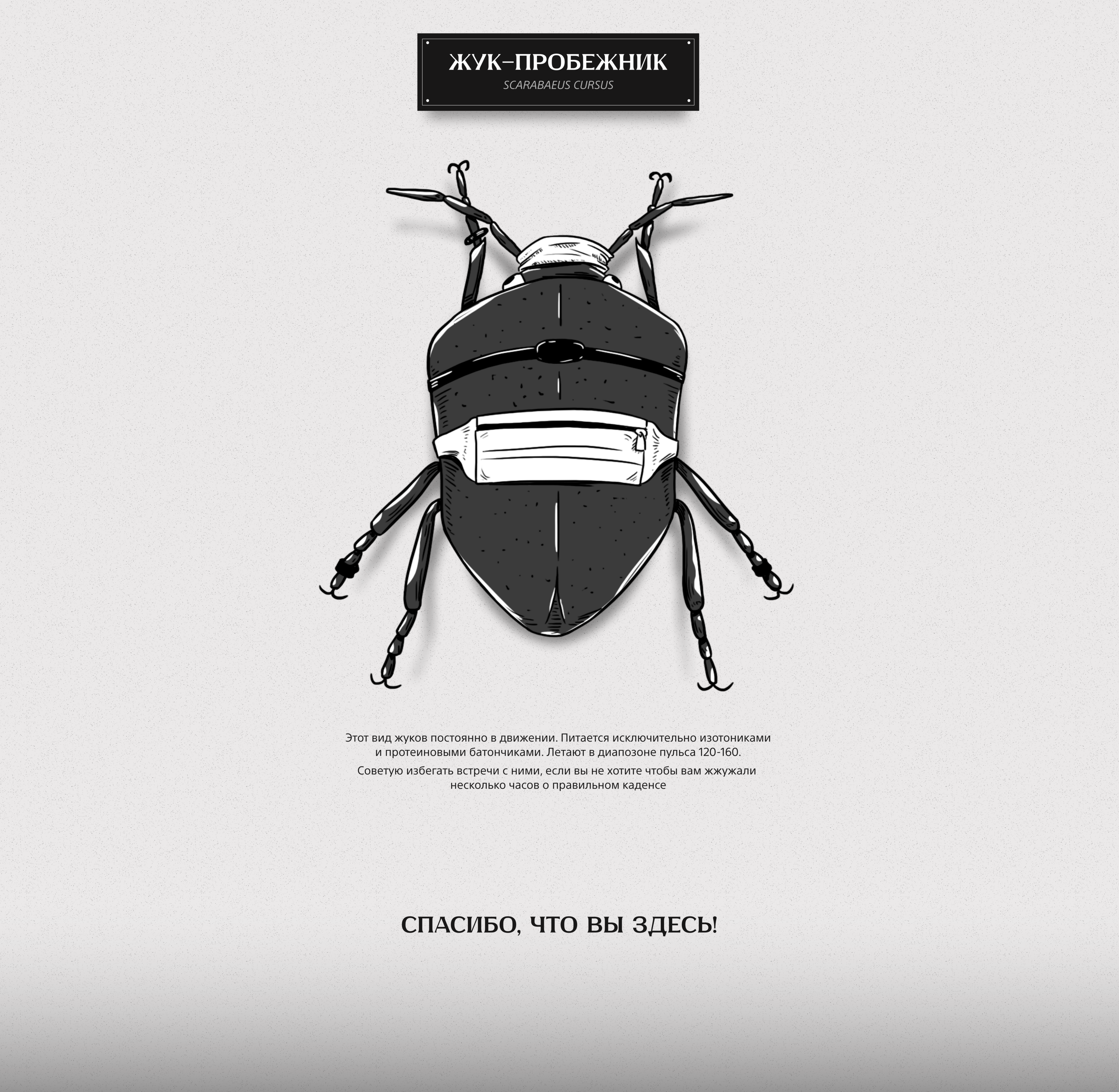 Жукариум — Изображение №7 — Иллюстрация на Dprofile