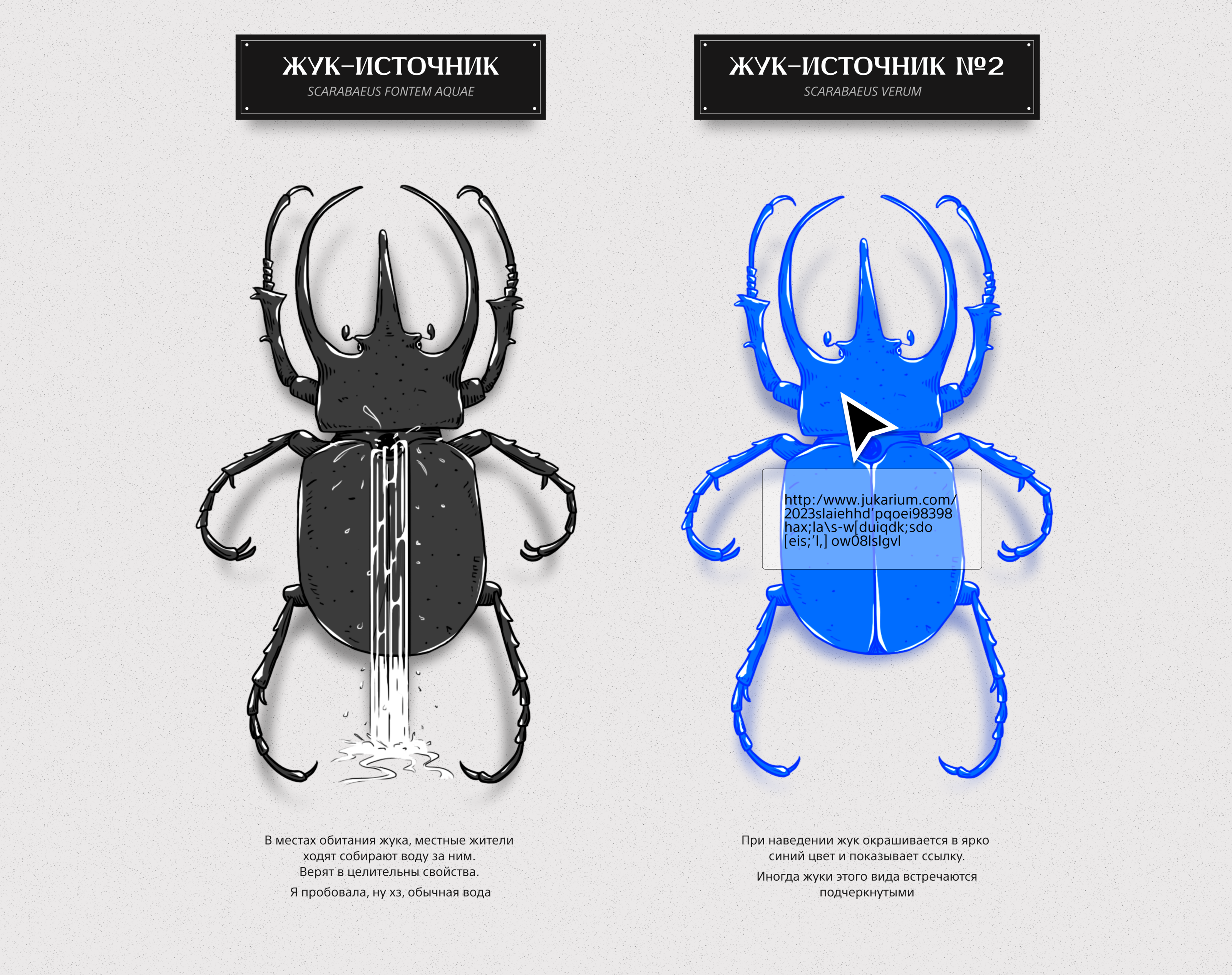 Жукариум — Изображение №5 — Иллюстрация на Dprofile