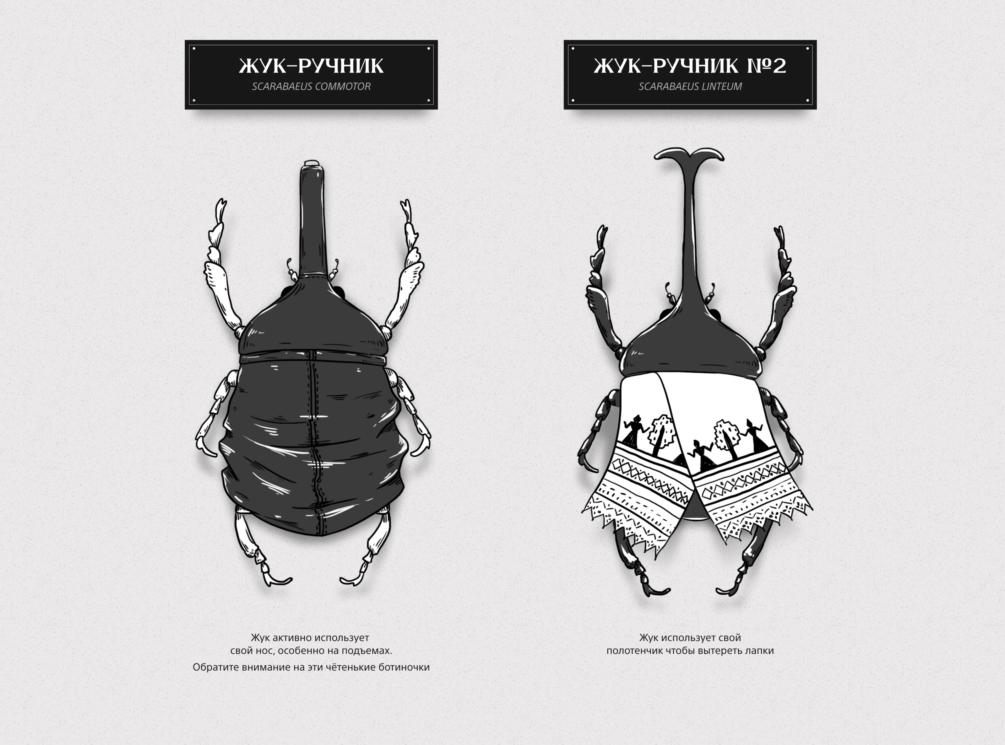 Жукариум — Изображение №4 — Иллюстрация на Dprofile