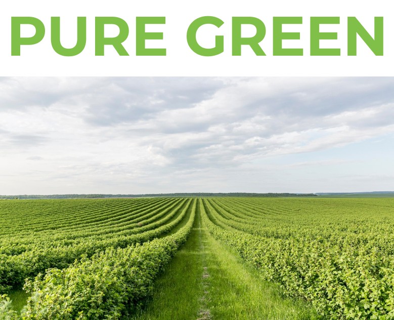 Online store "Pure Green" на Dprofile