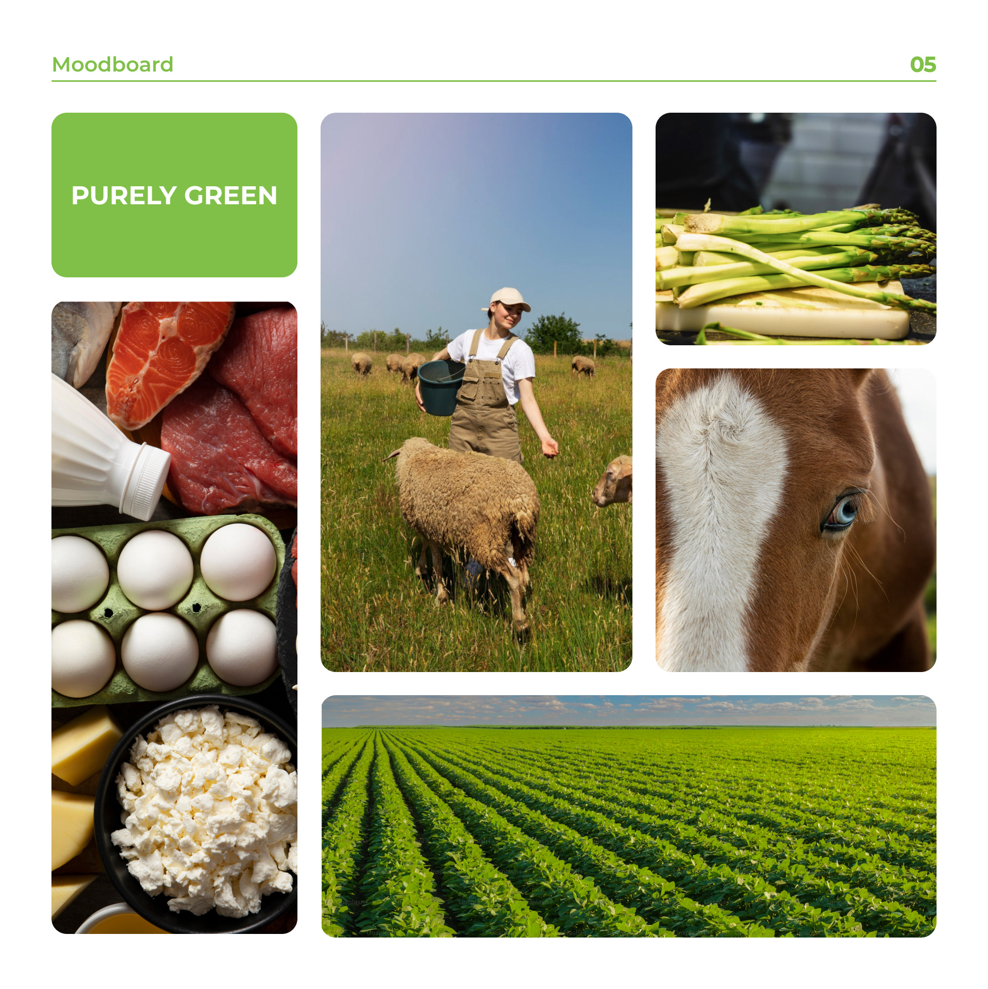 Online store "Pure Green" — Изображение №7 — Интерфейсы, Анимация на Dprofile