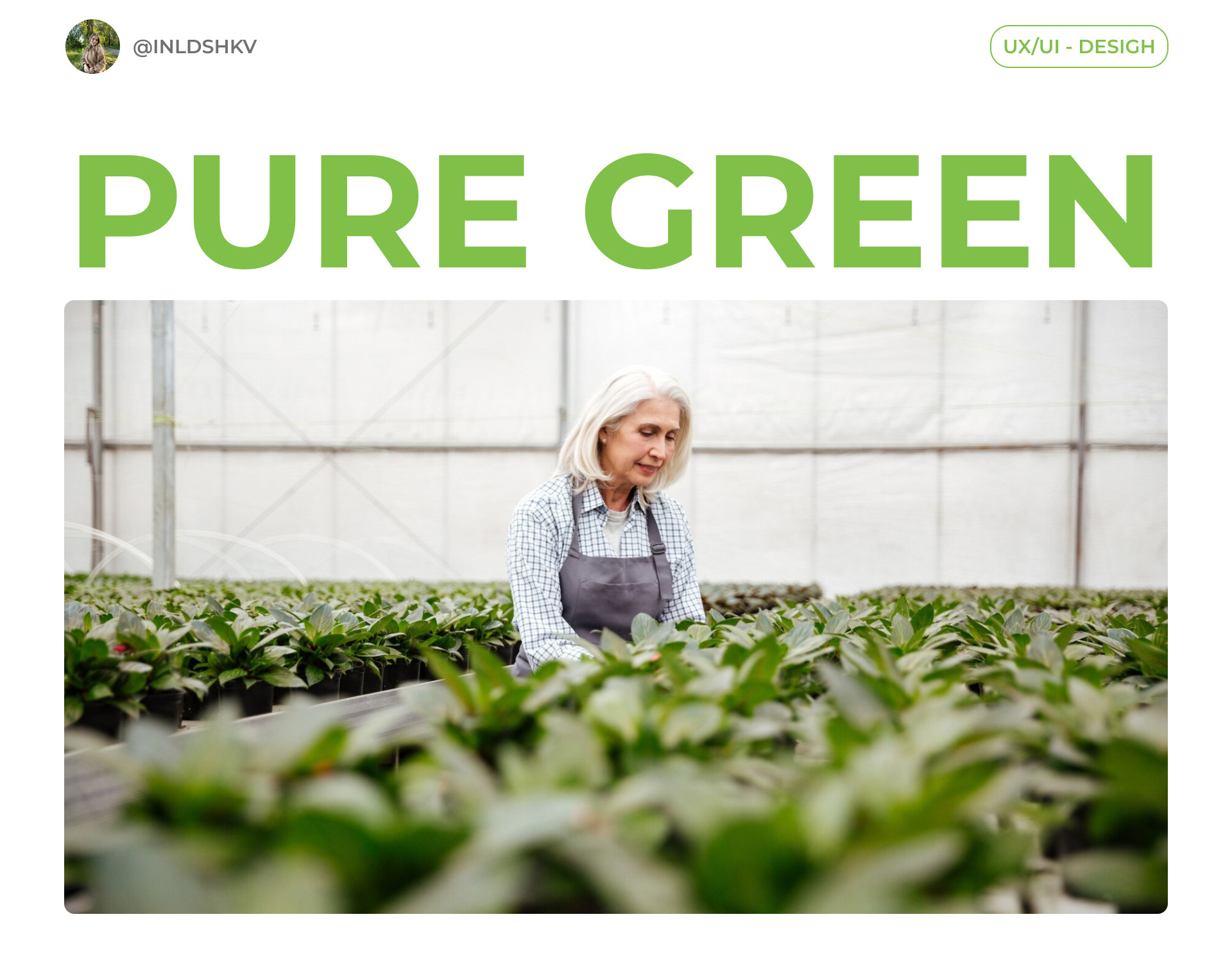 Online store "Pure Green" — Изображение №1 — Интерфейсы, Анимация на Dprofile