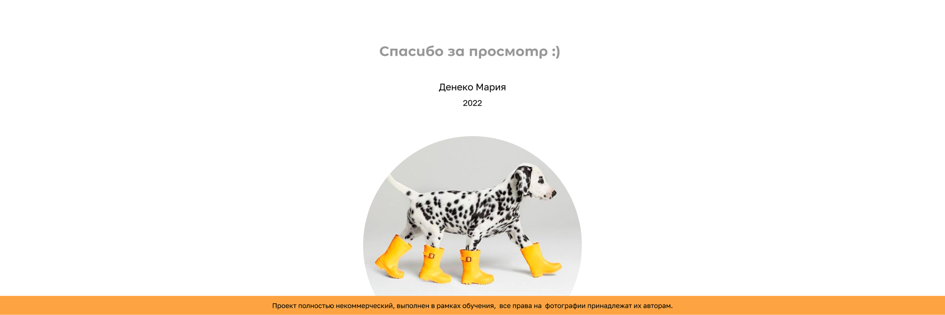 Pet store mobile app — Изображение №14 — Интерфейсы на Dprofile