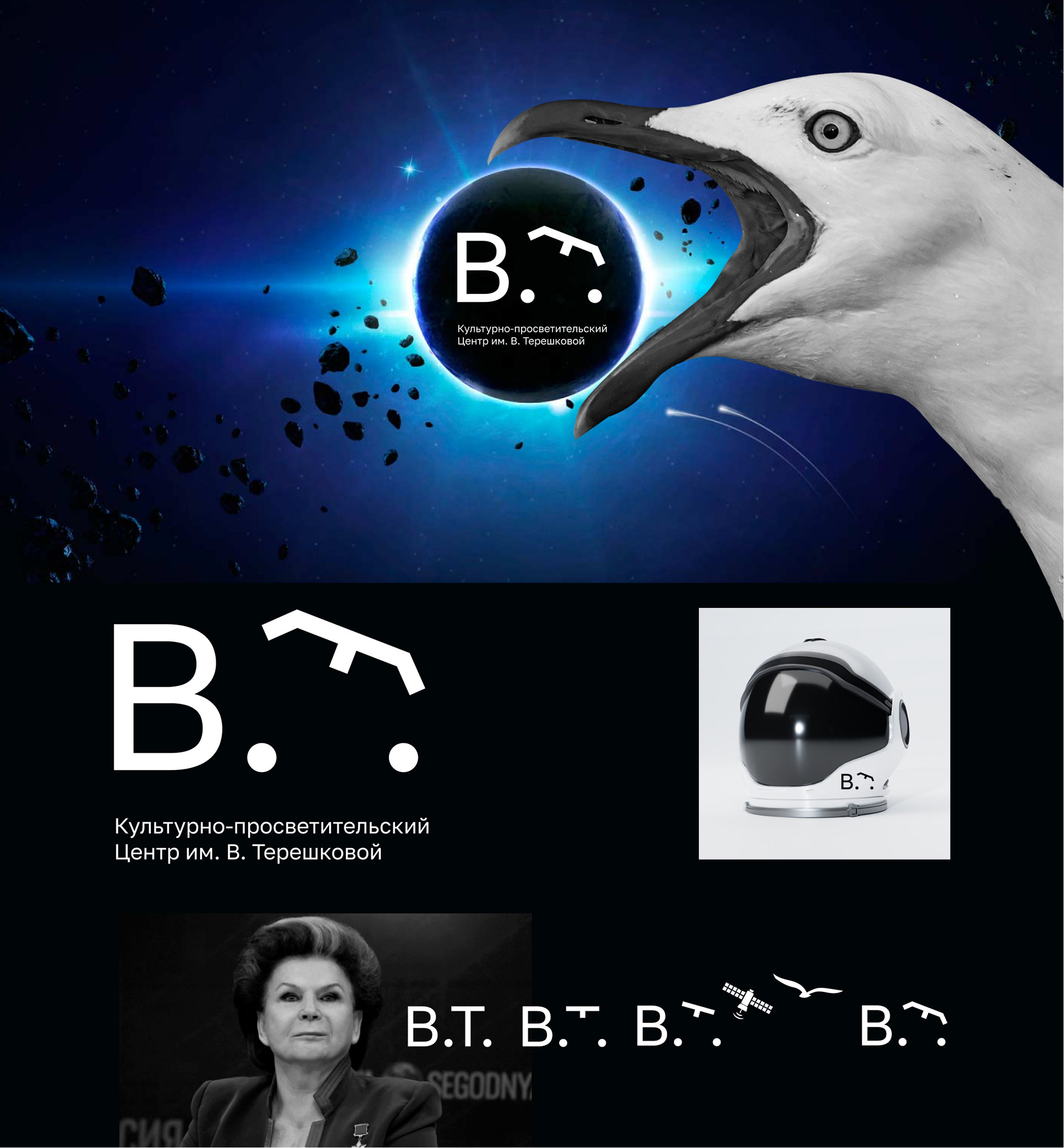 Логотип для центра имени В. Терешковой. Концепт. — Изображение №1 — Брендинг на Dprofile