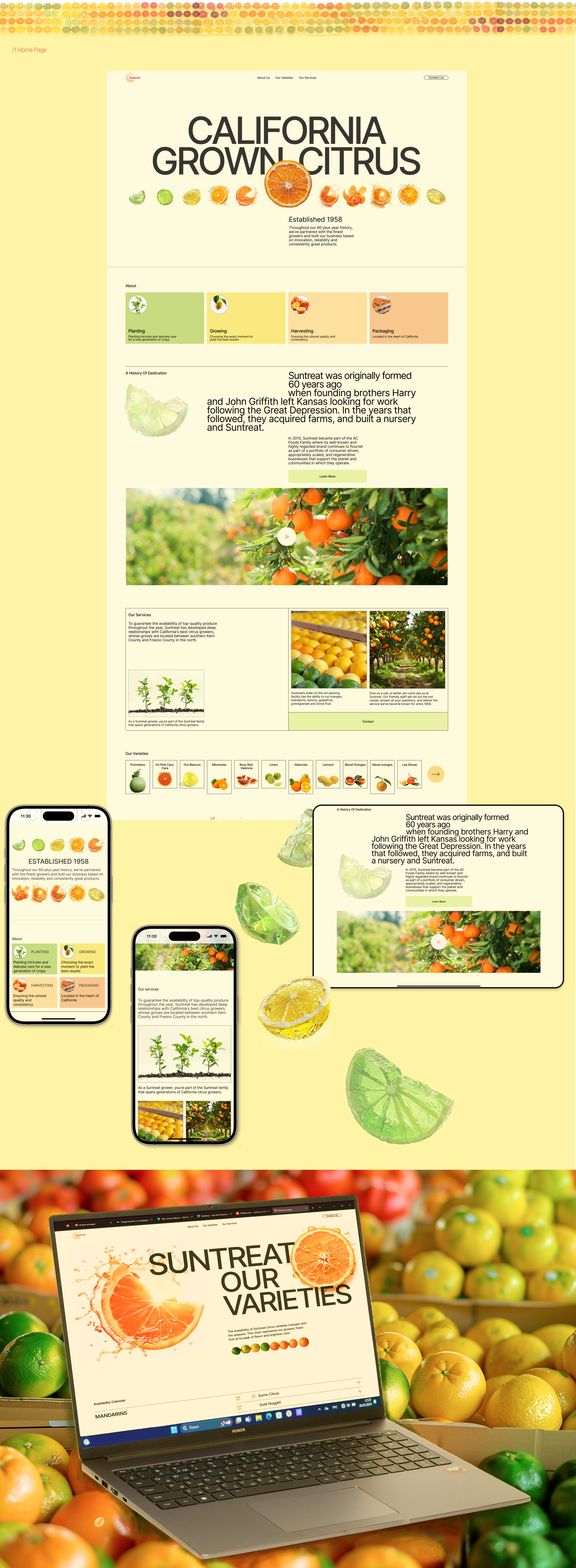 Редизайн корпоративного сайта "Suntreat" — Изображение №2 — Интерфейсы, Брендинг на Dprofile