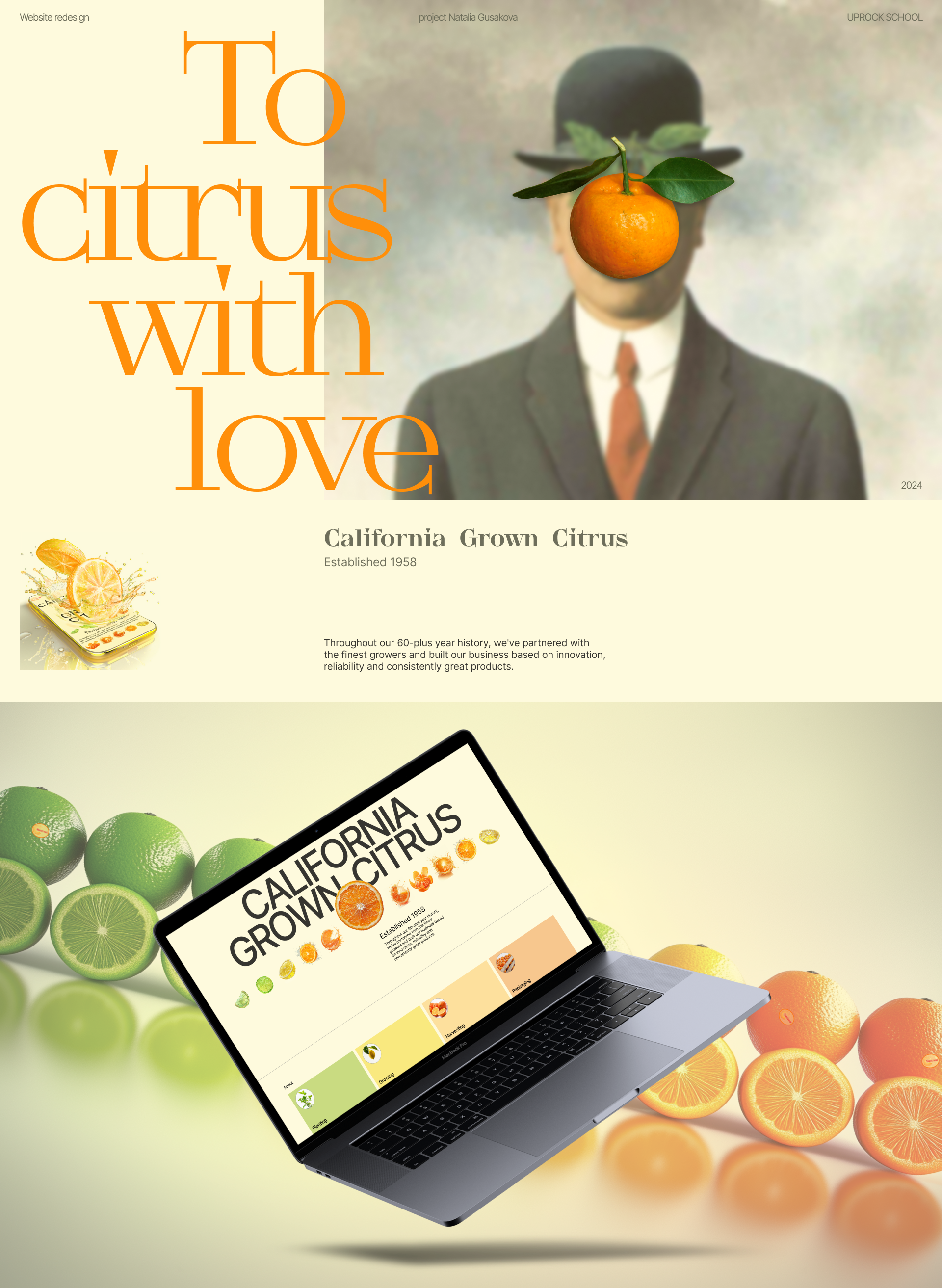 Редизайн корпоративного сайта "Suntreat" — Изображение №1 — Интерфейсы, Брендинг на Dprofile