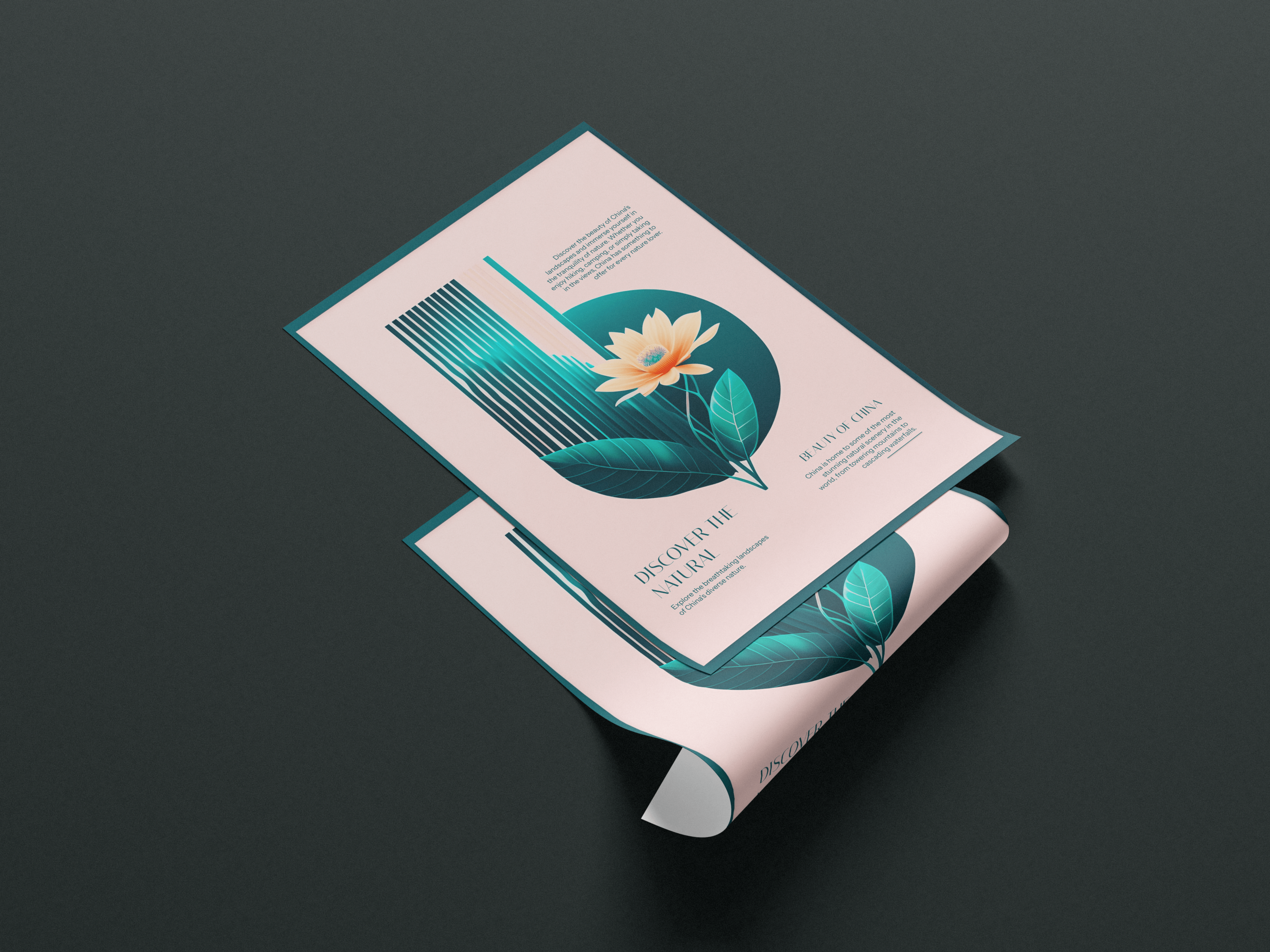 Серия плакатов "Beautiful nature of China" — Изображение №3 — Графика на Dprofile