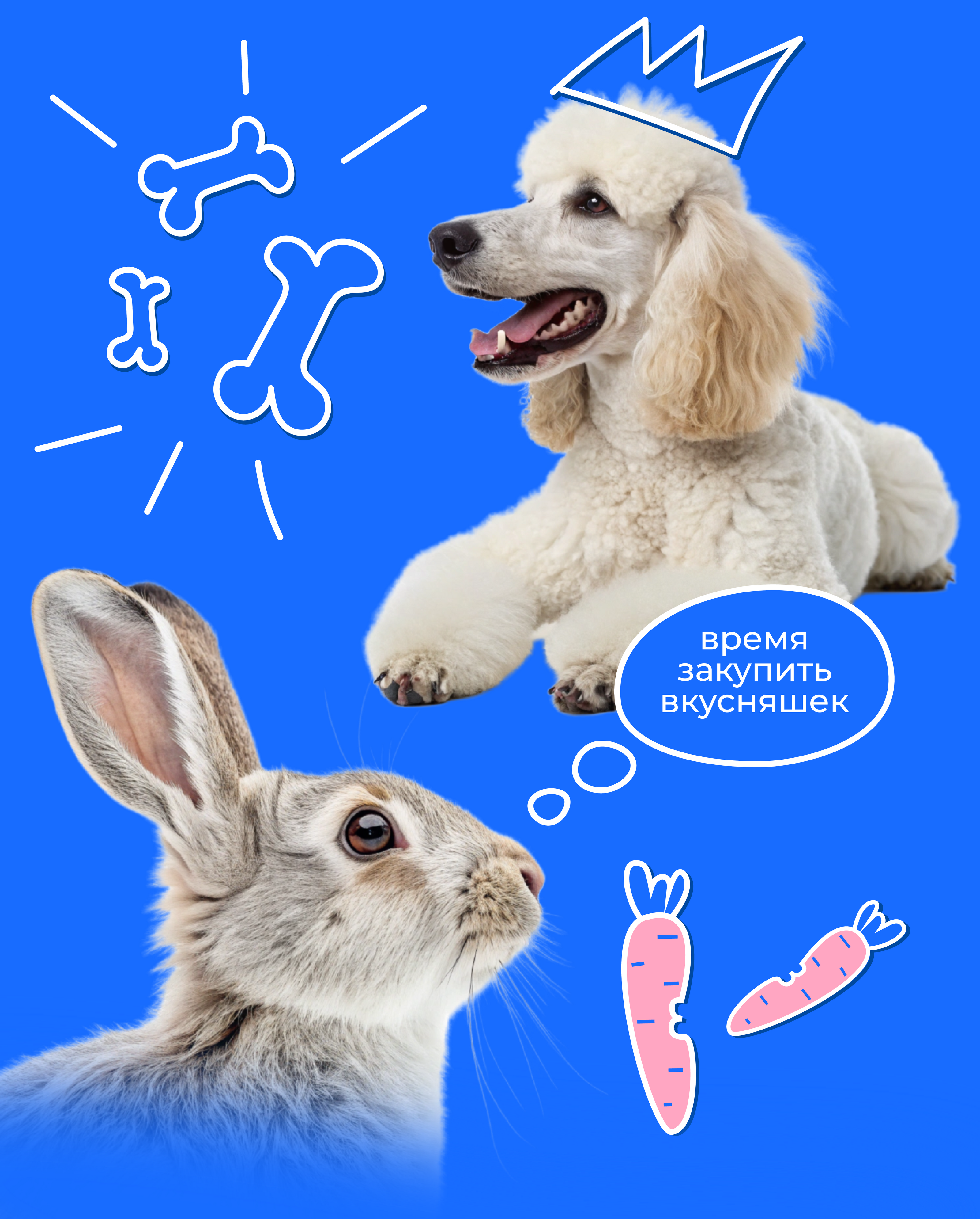 Ветклиника Котося — Изображение №9 — Брендинг на Dprofile