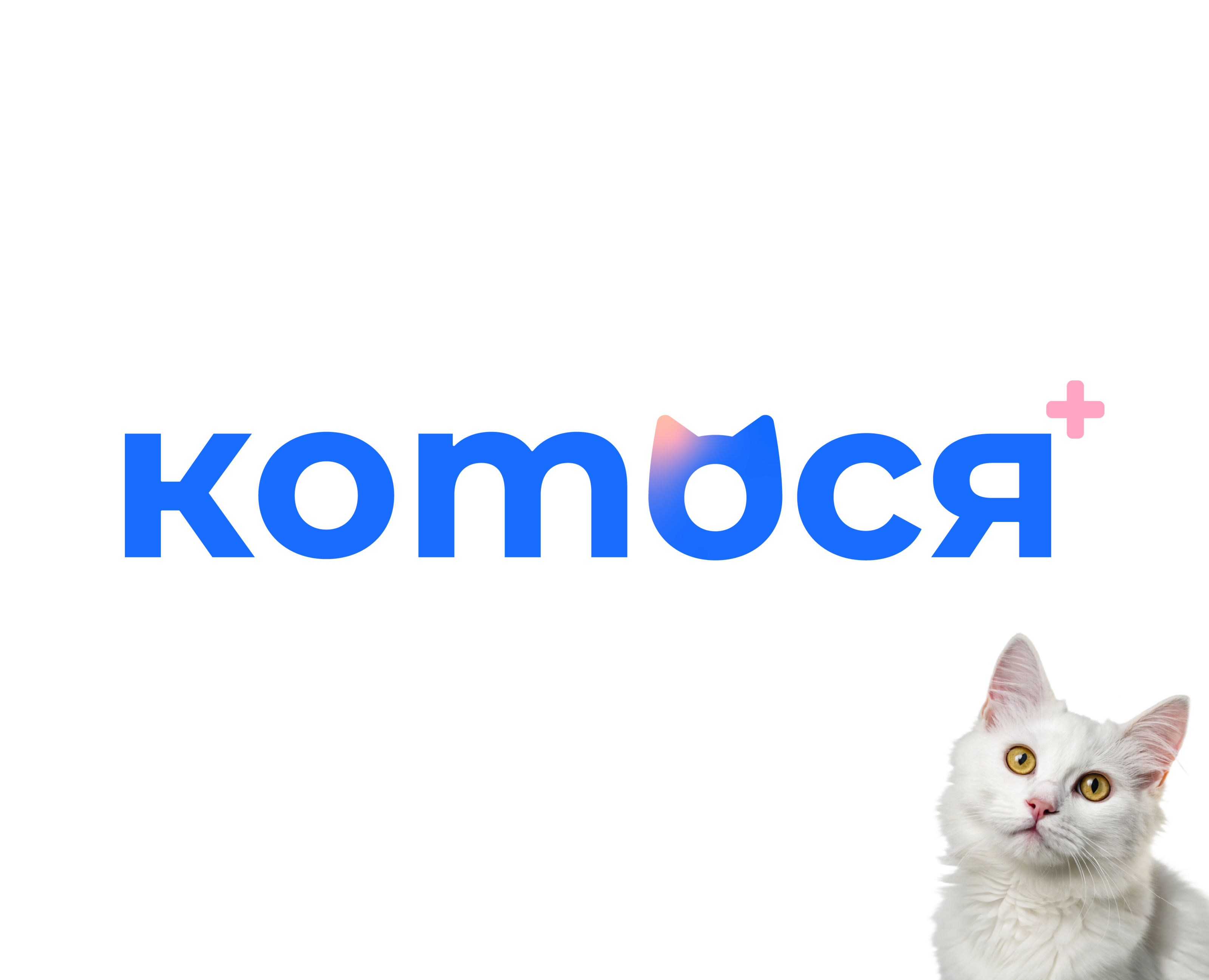 Ветклиника Котося — Брендинг на Dprofile
