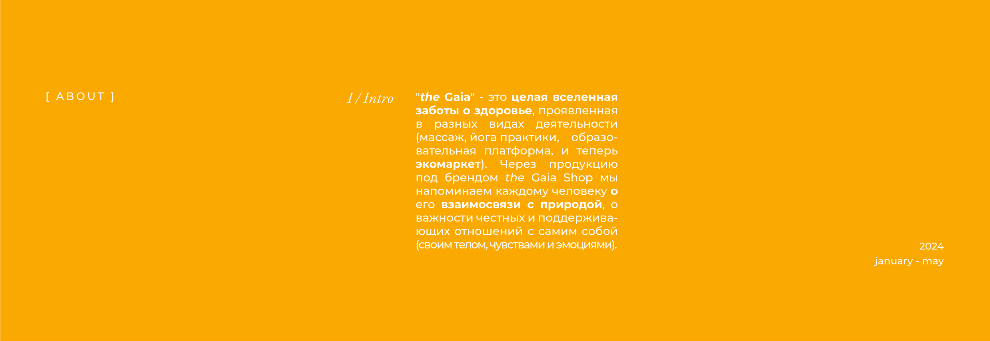 [RU, EN] the Gaia Shop / E-commerce — Изображение №2 — Интерфейсы, Брендинг на Dprofile