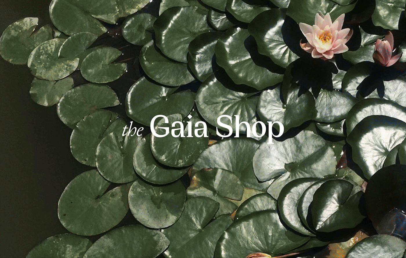 [RU, EN] the Gaia Shop / E-commerce — Изображение №6 — Интерфейсы, Брендинг на Dprofile