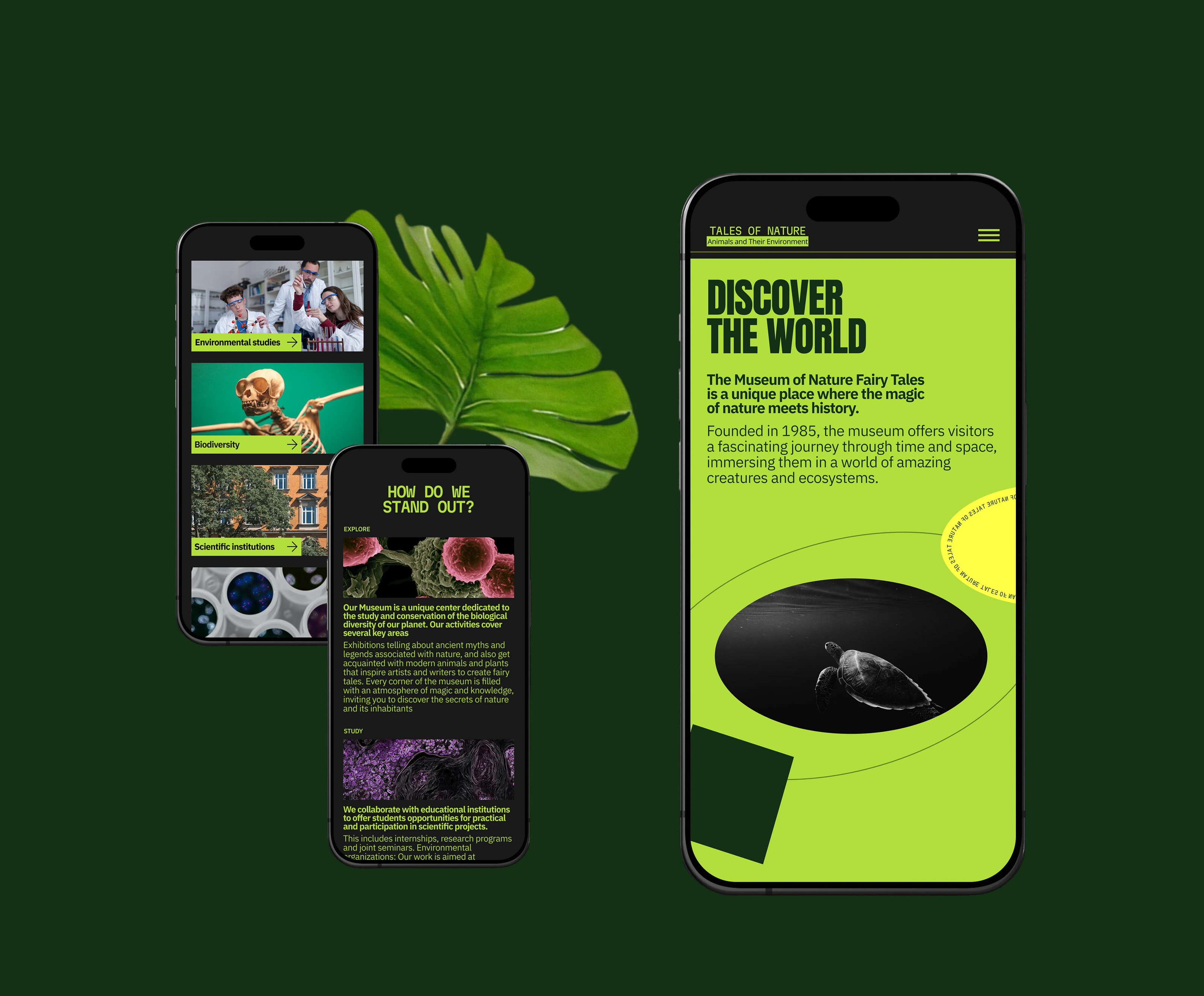 Tales of Nature / Museum Website — Изображение №9 — Интерфейсы на Dprofile