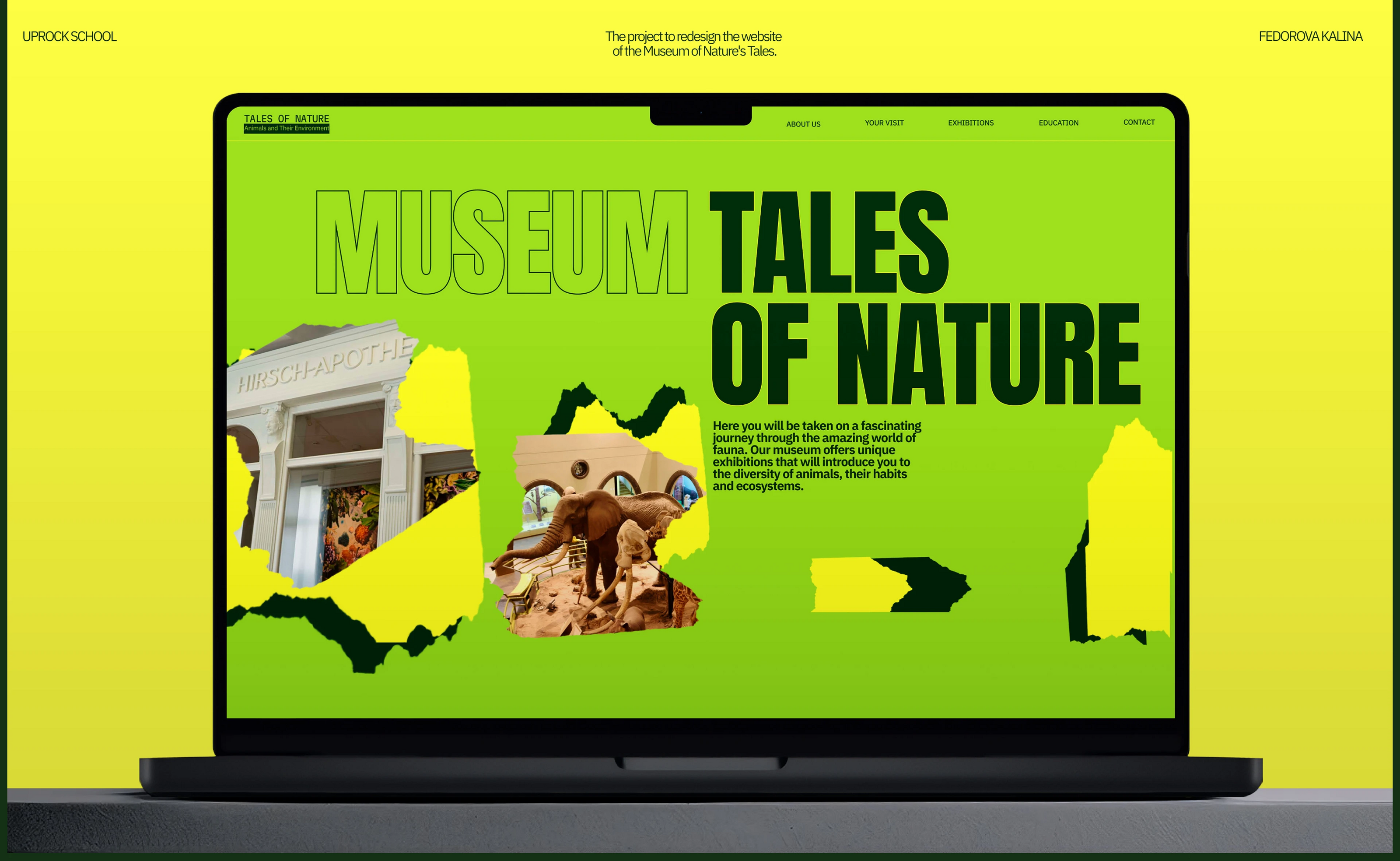 Tales of Nature / Museum Website — Изображение №12 — Интерфейсы на Dprofile
