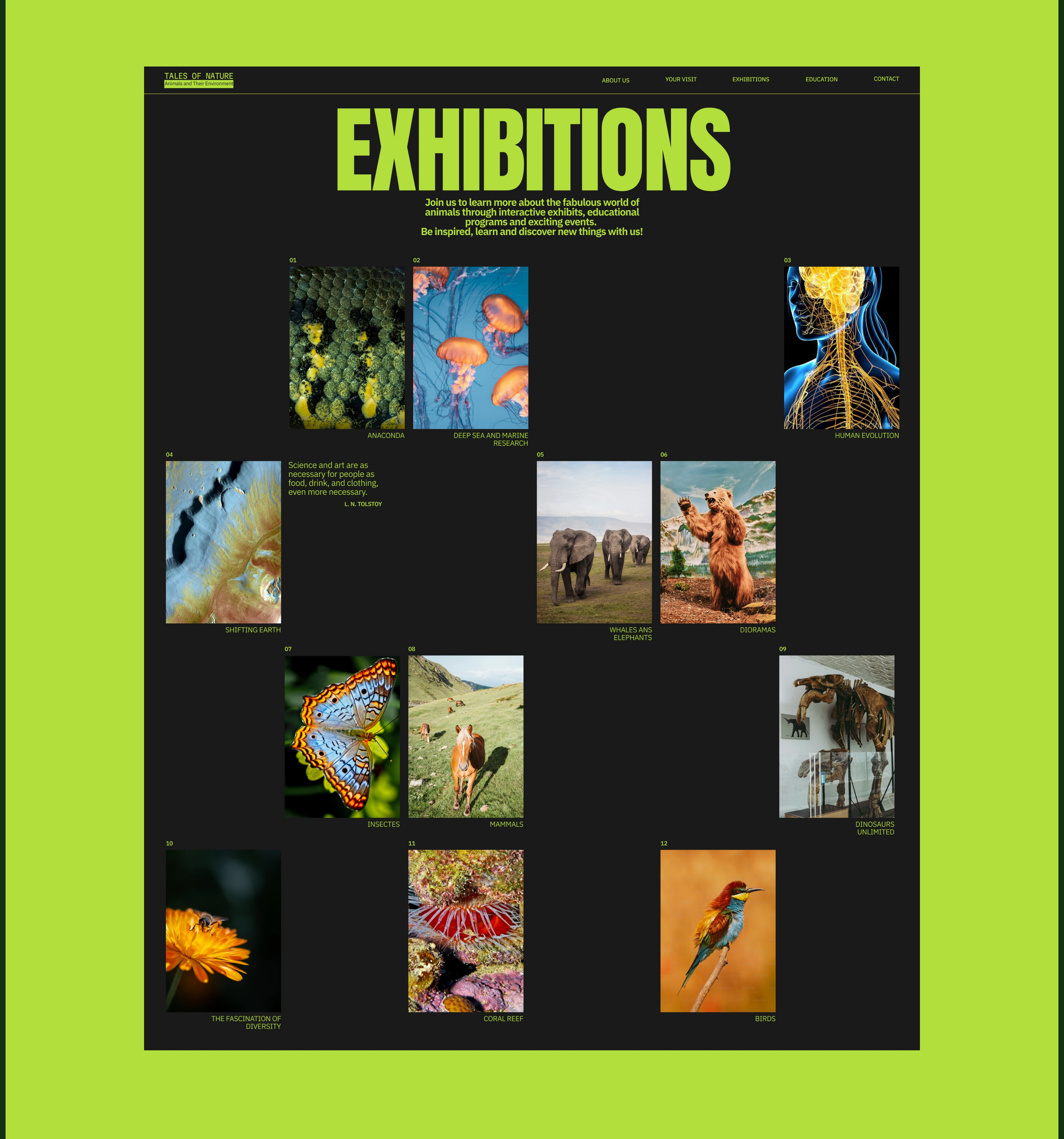 Tales of Nature / Museum Website — Изображение №5 — Интерфейсы на Dprofile