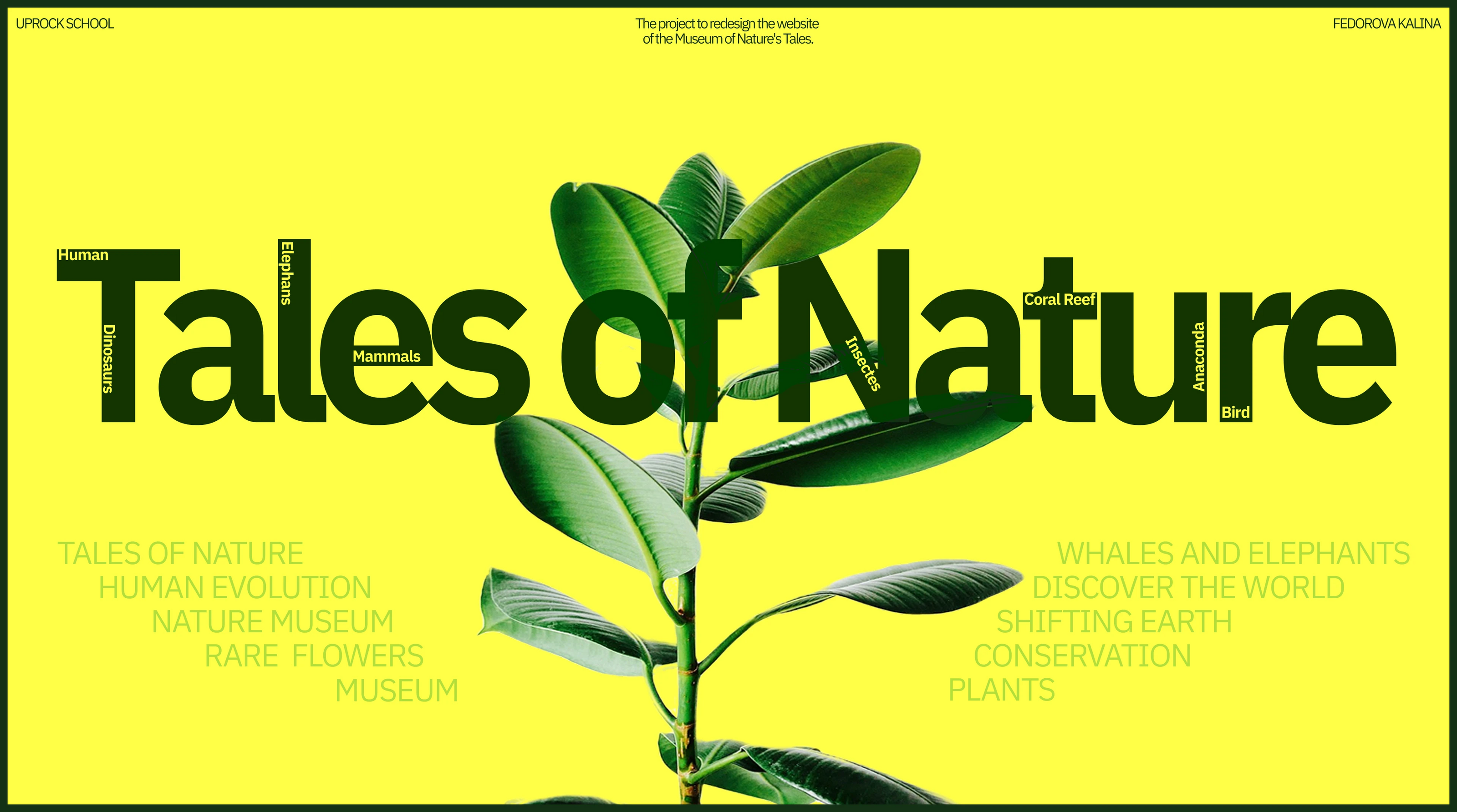 Tales of Nature / Museum Website — Изображение №1 — Интерфейсы на Dprofile