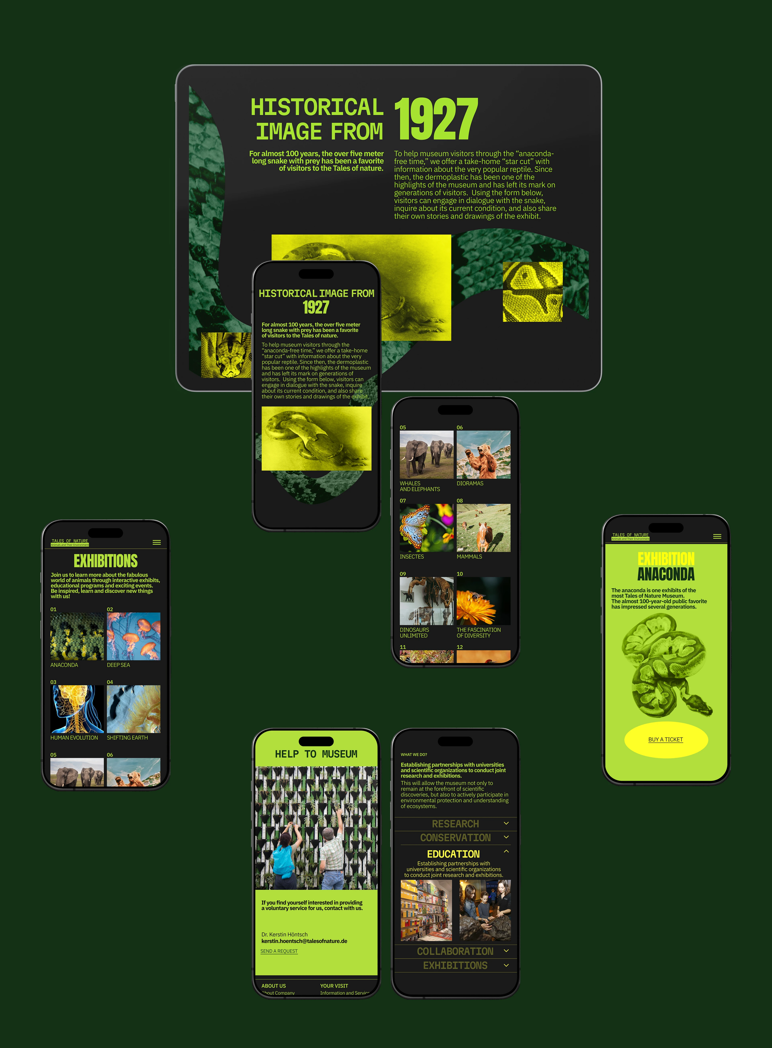 Tales of Nature / Museum Website — Изображение №6 — Интерфейсы на Dprofile