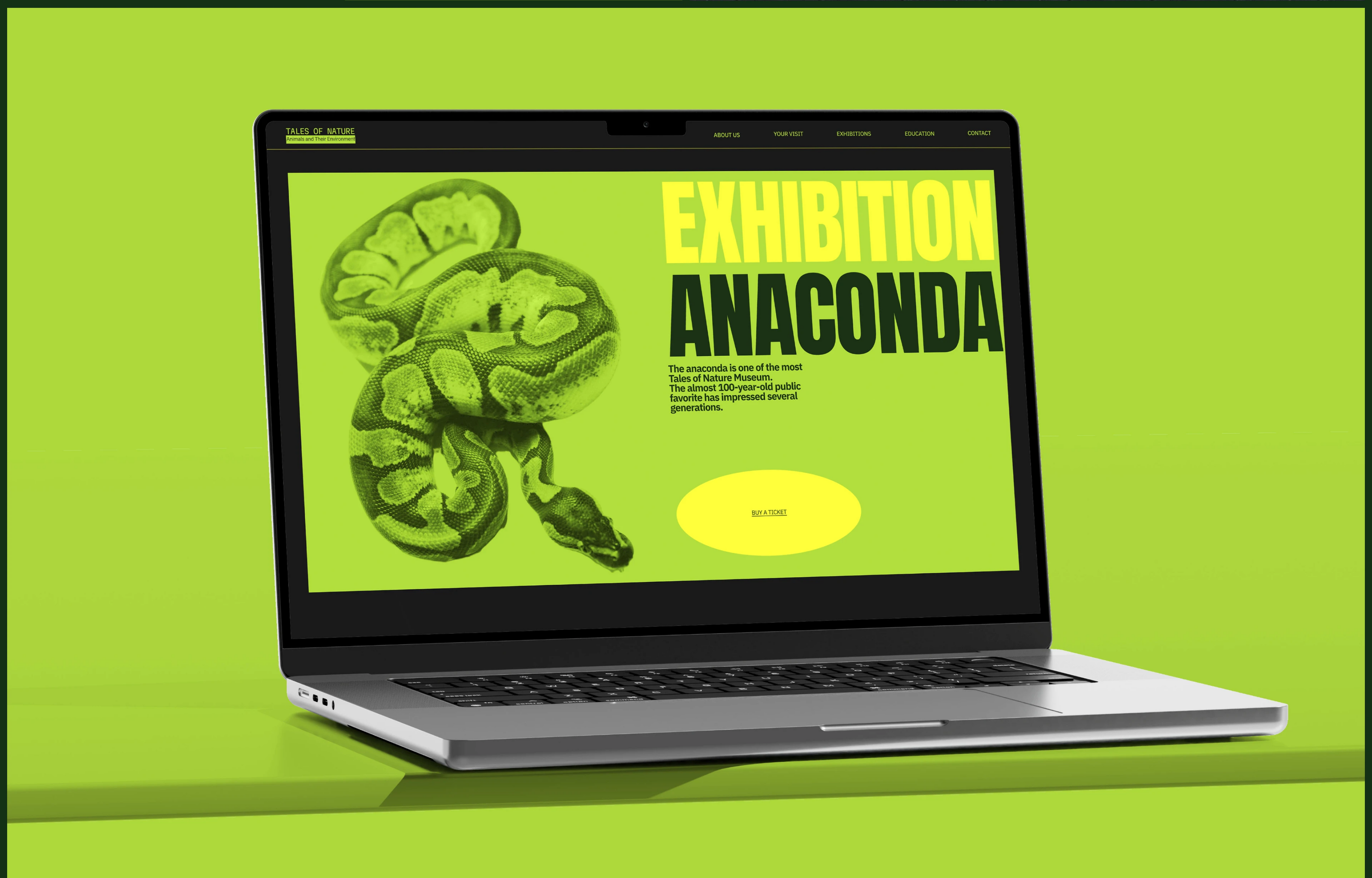 Tales of Nature / Museum Website — Изображение №8 — Интерфейсы на Dprofile