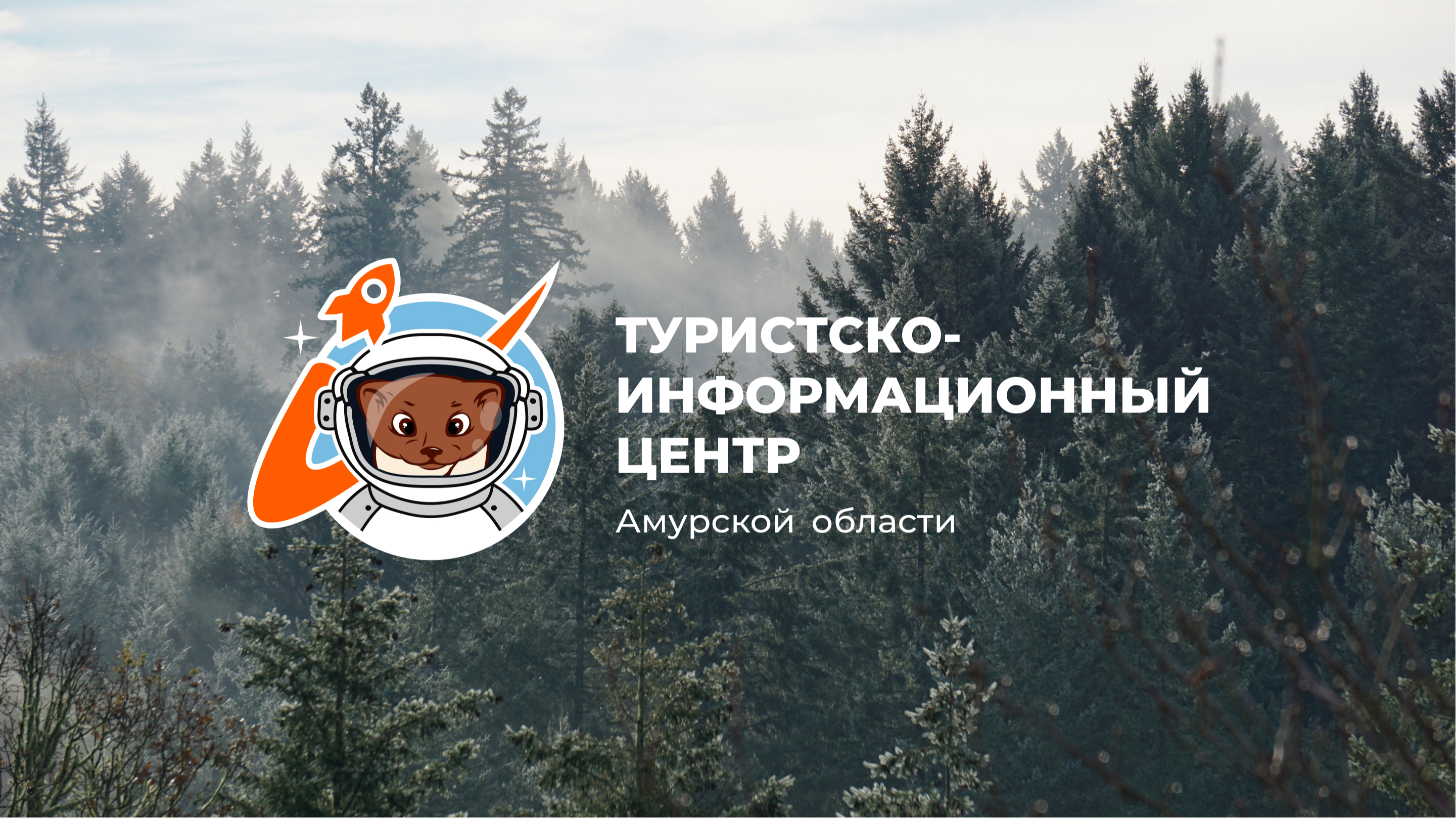 ТИЦ Амурской области | Branding — Изображение №1 — Брендинг на Dprofile