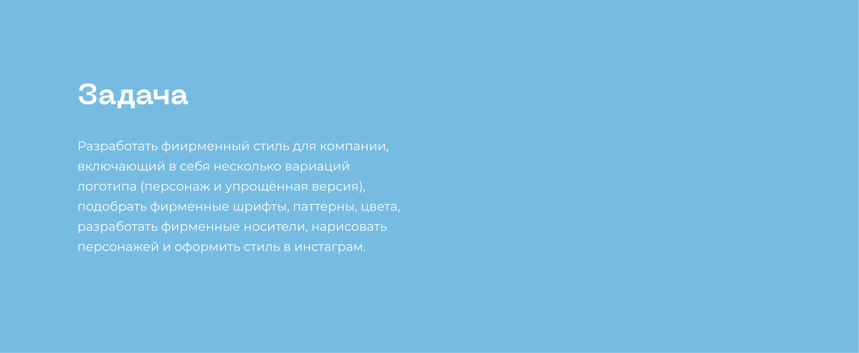 ТИЦ Амурской области | Branding — Изображение №2 — Брендинг на Dprofile