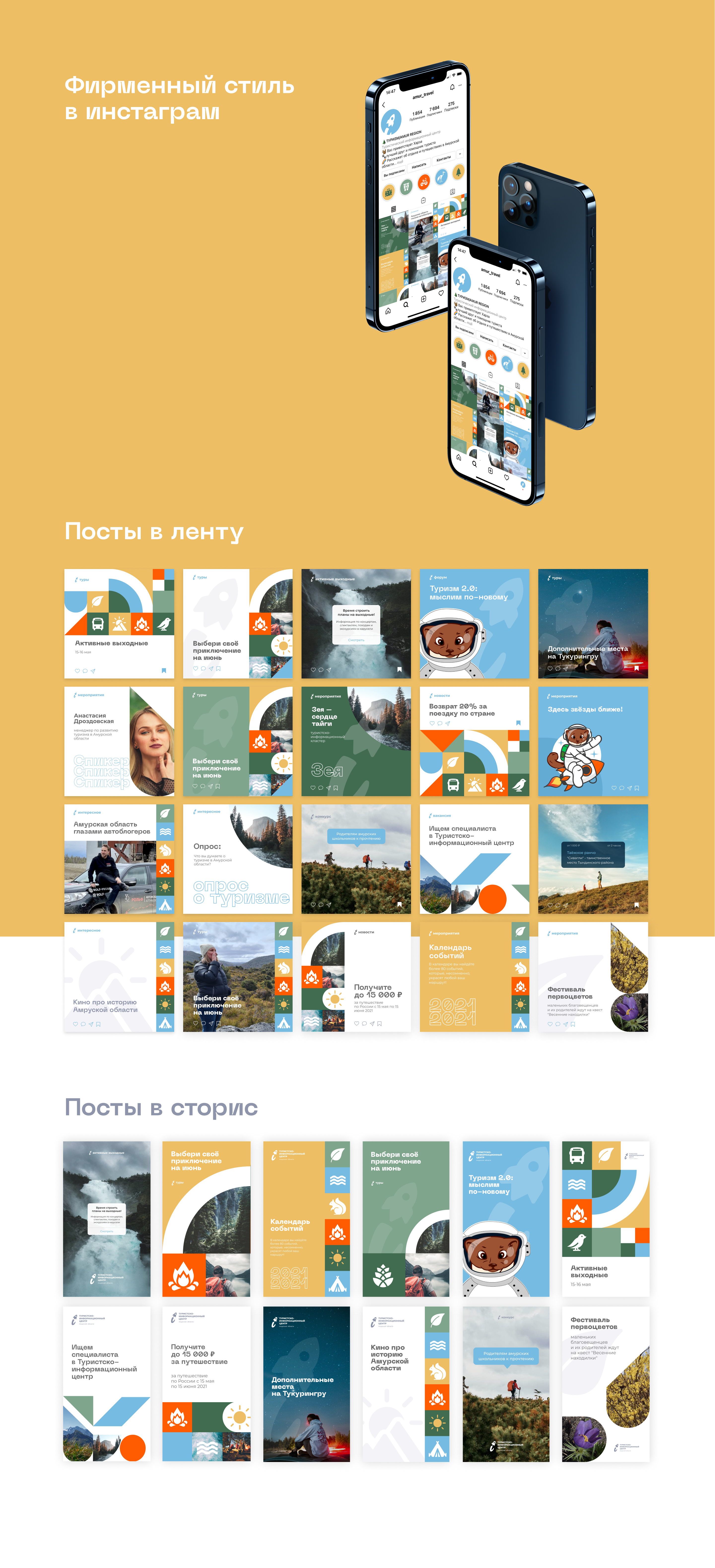 ТИЦ Амурской области | Branding — Изображение №10 — Брендинг на Dprofile