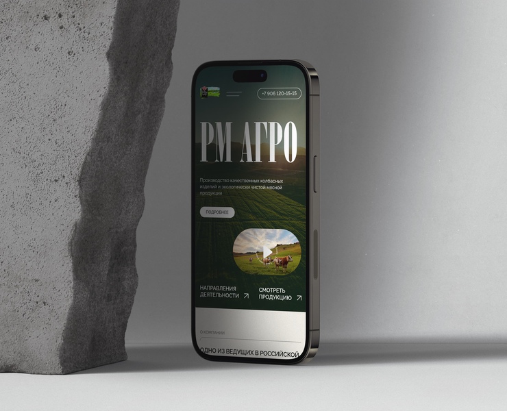RM AGRO — Интерфейсы на Dprofile