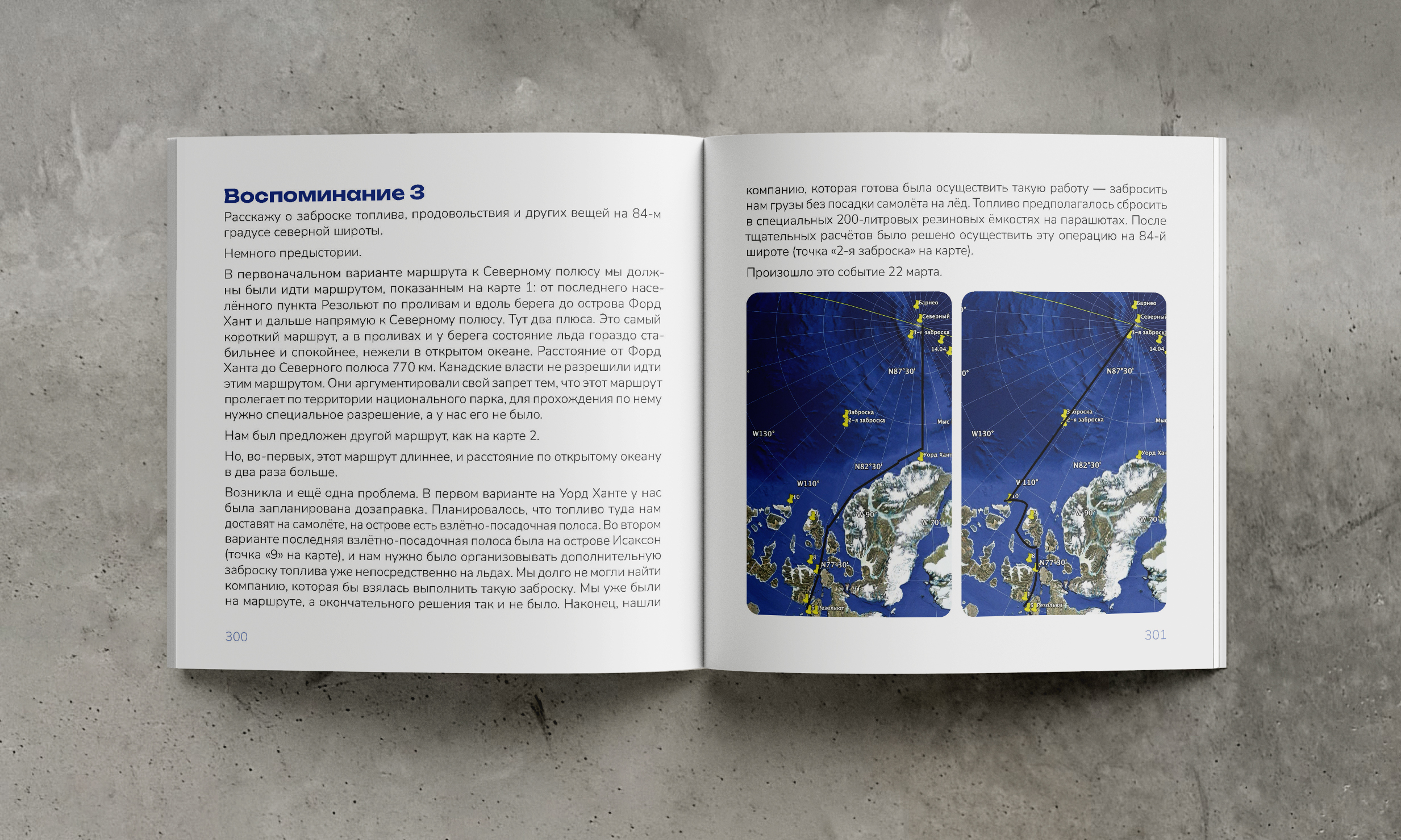 Верстка и дизайн книжного издания — Изображение №23 — Брендинг, Графика на Dprofile