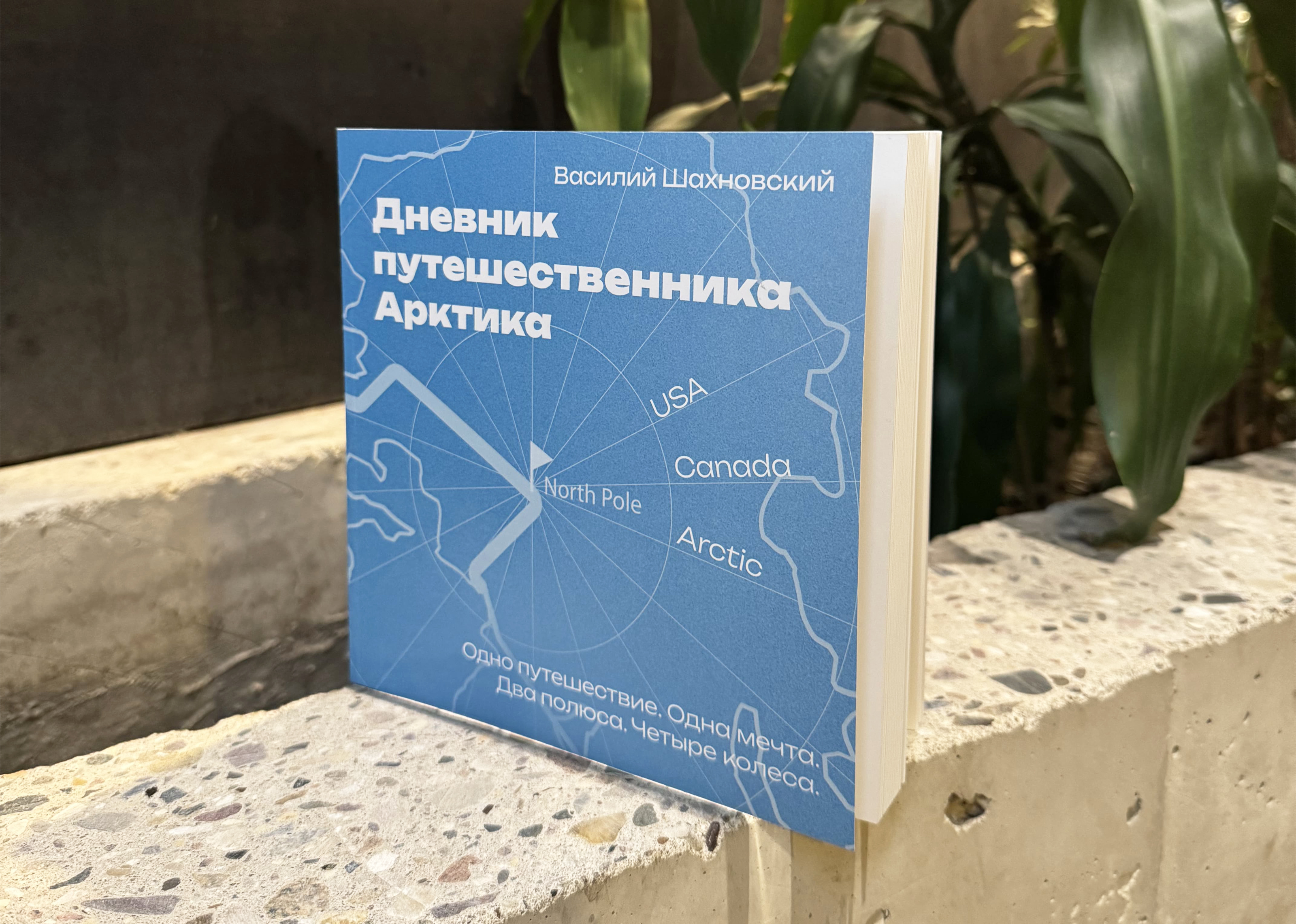 Верстка и дизайн книжного издания — Изображение №26 — Брендинг, Графика на Dprofile