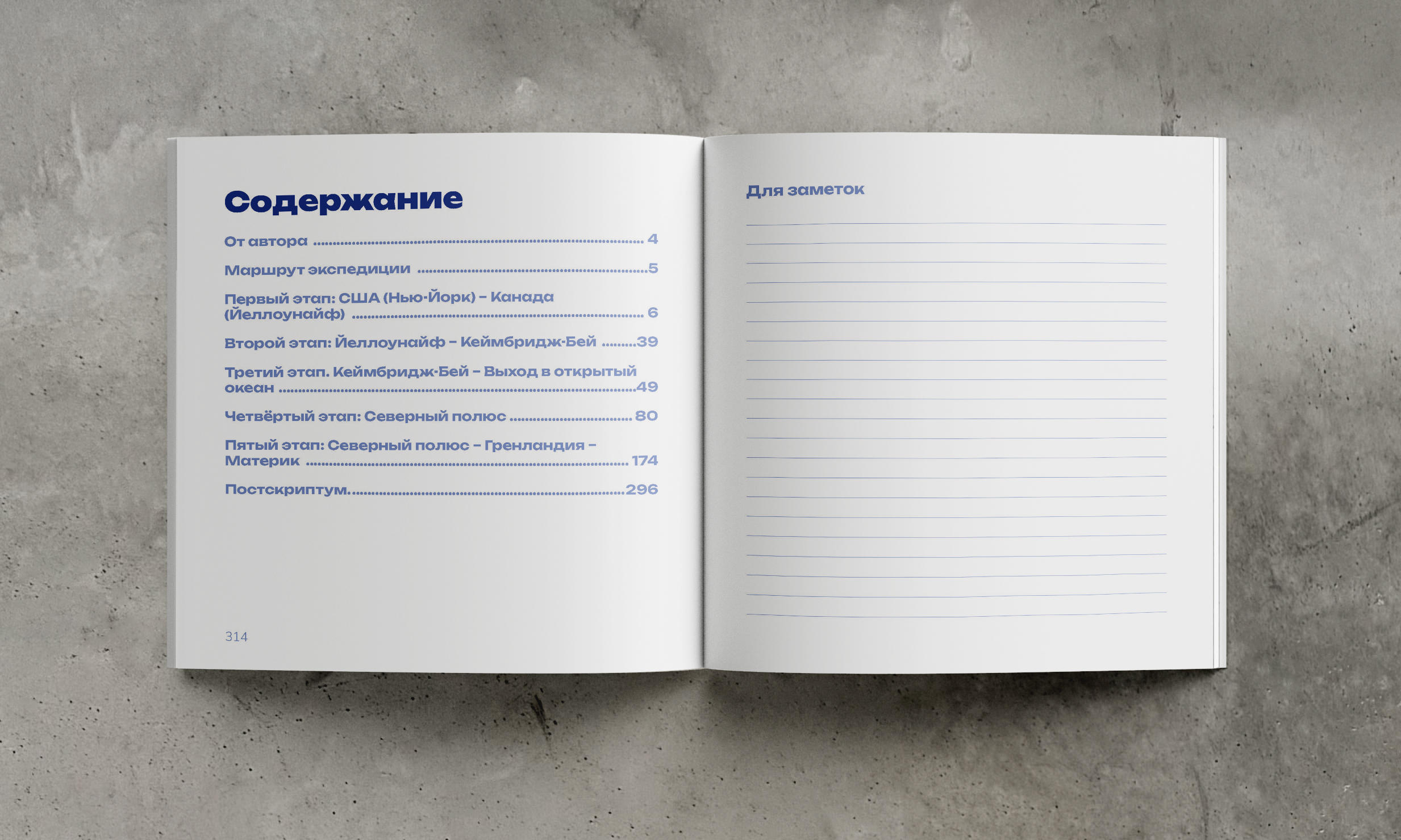 Верстка и дизайн книжного издания — Изображение №24 — Брендинг, Графика на Dprofile