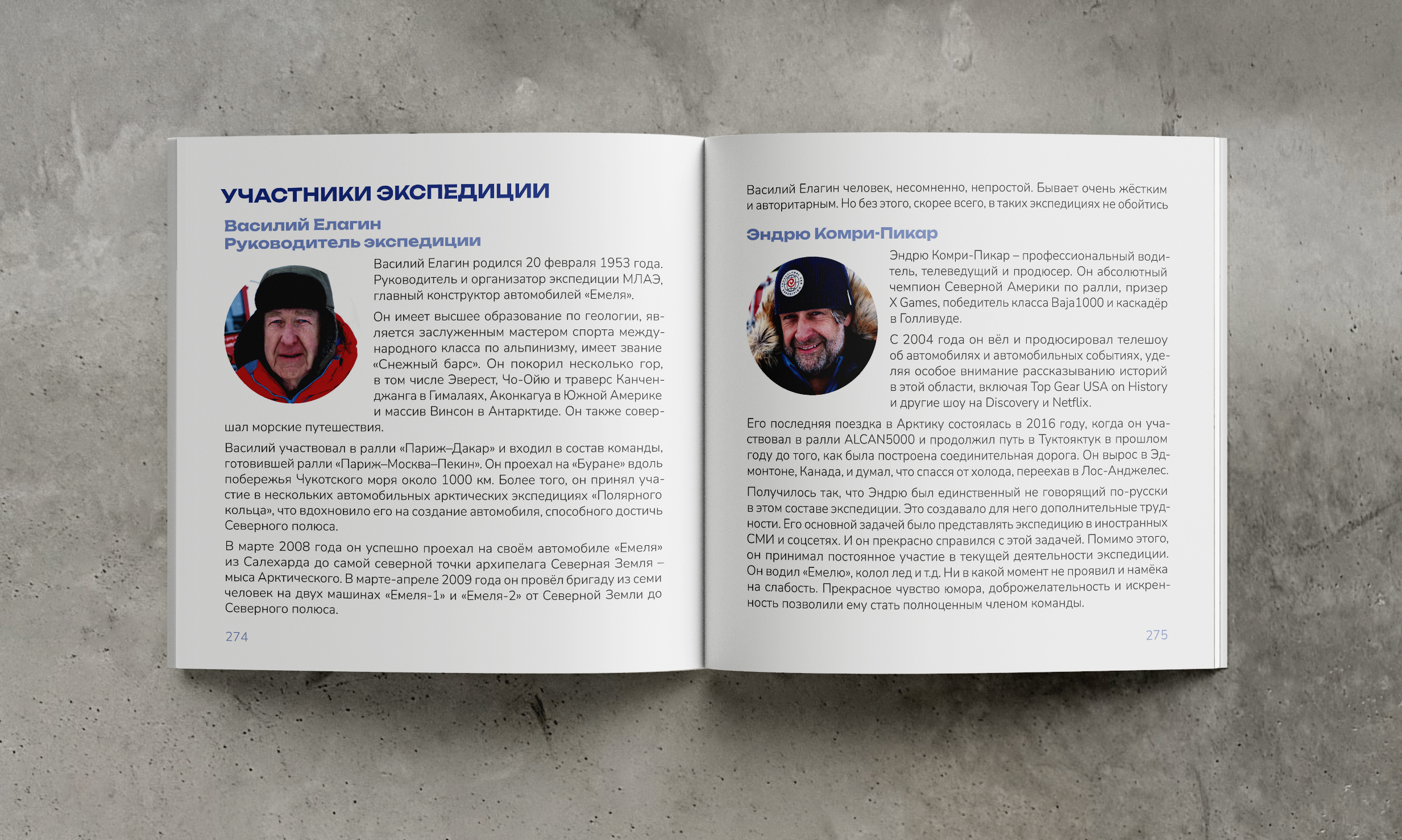 Верстка и дизайн книжного издания — Изображение №21 — Брендинг, Графика на Dprofile