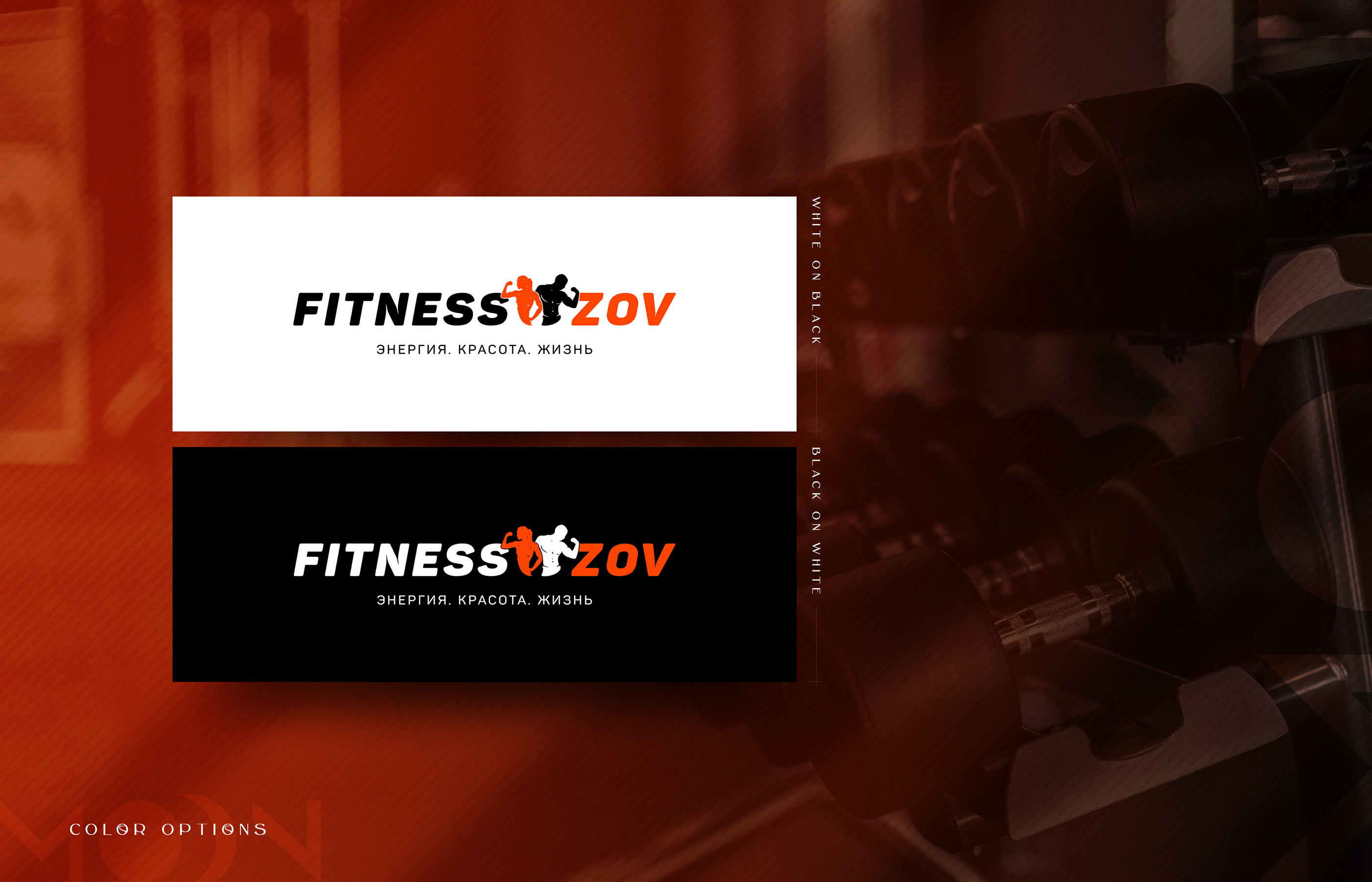 Логотип для фитнес-клуба / Logo for a fitness club — Изображение №4 — Брендинг на Dprofile