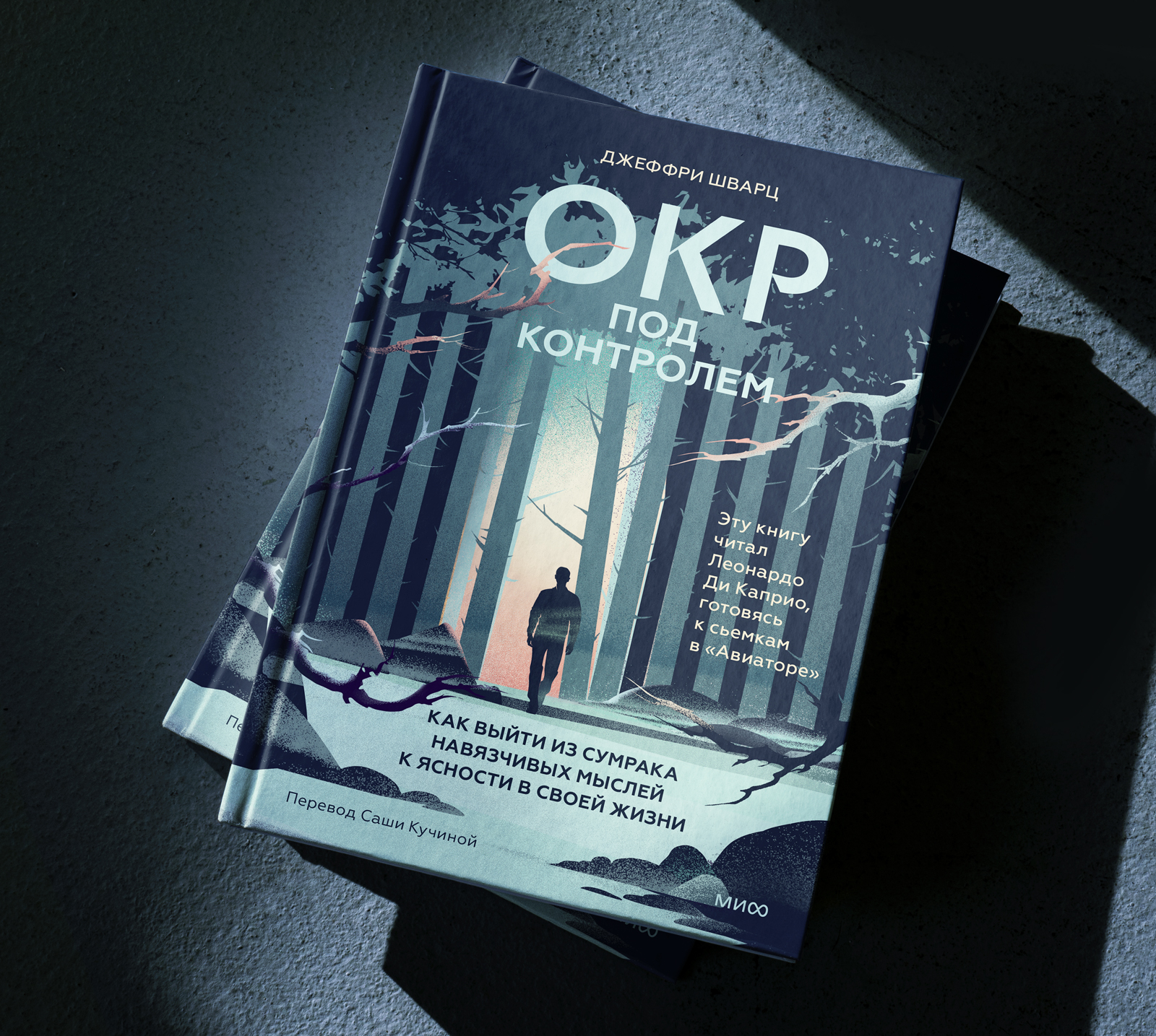 Обложка книги. Джеффри Шварц «ОКР под контролем» — Изображение №1 — Иллюстрация, Графика на Dprofile