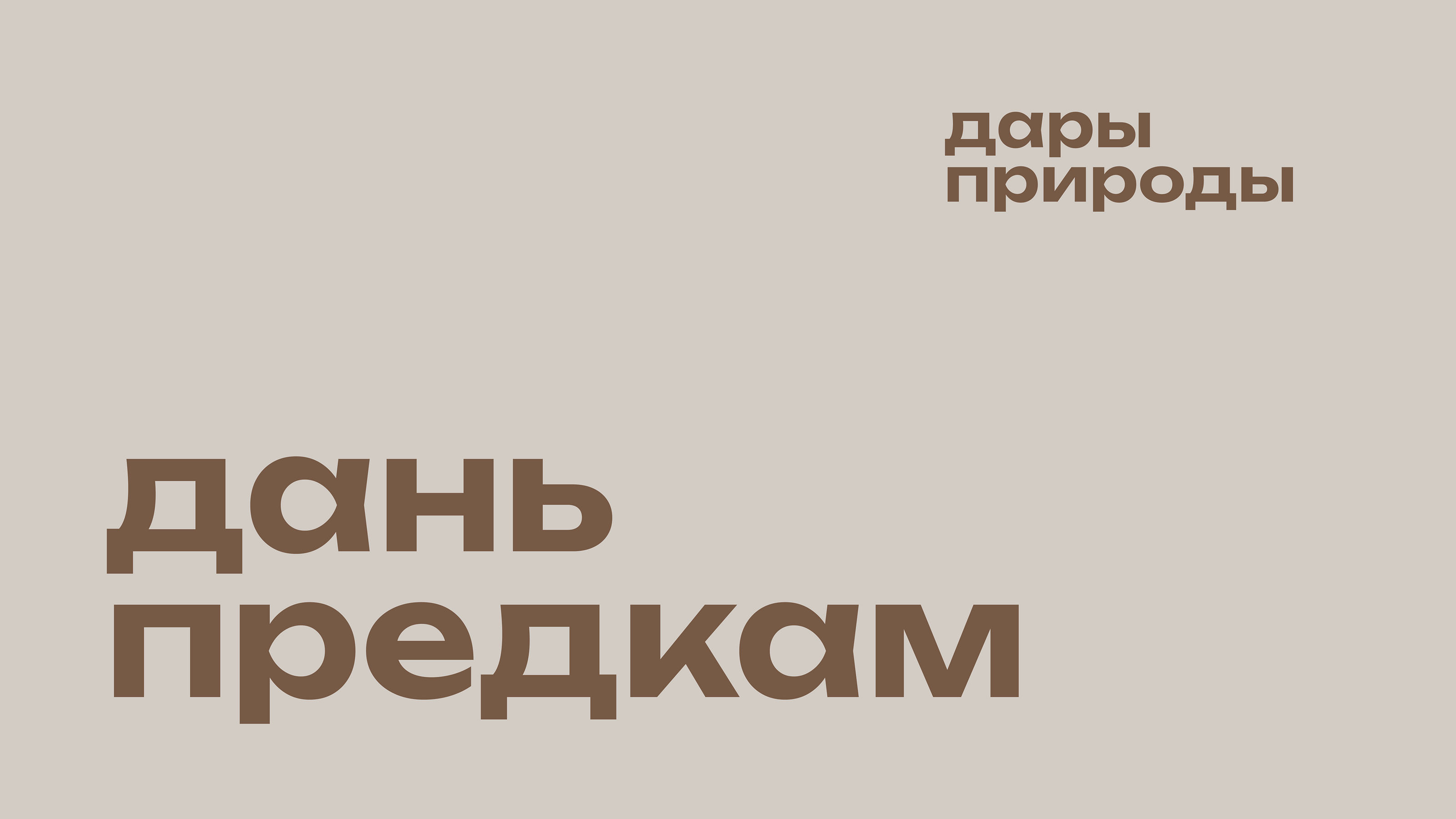 Кофейня АКАРО — Изображение №3 — Брендинг на Dprofile