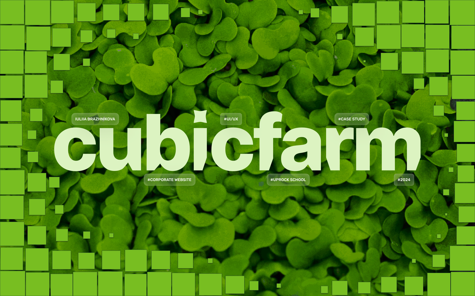 CubicFarm — Изображение №1 — Интерфейсы, Брендинг на Dprofile