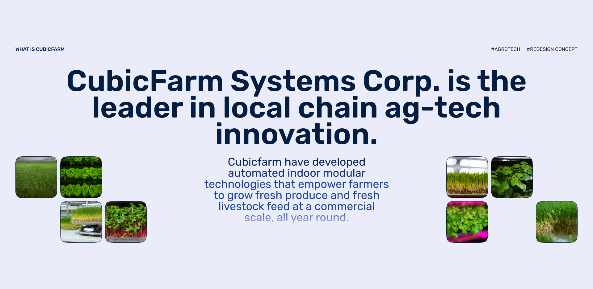CubicFarm — Изображение №2 — Интерфейсы, Брендинг на Dprofile