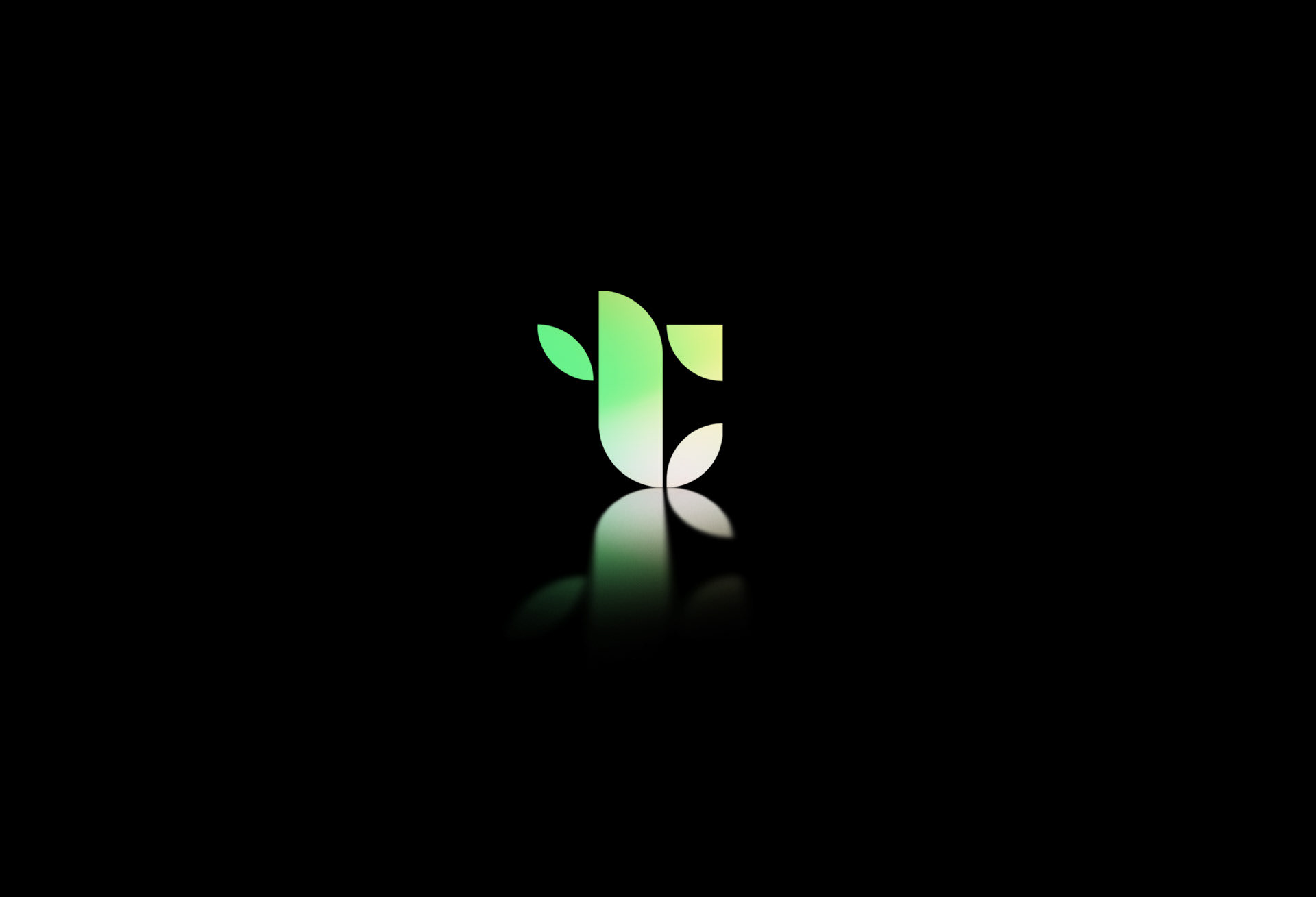 TWILIFEX | Brand Identity — Изображение №6 — Брендинг на Dprofile