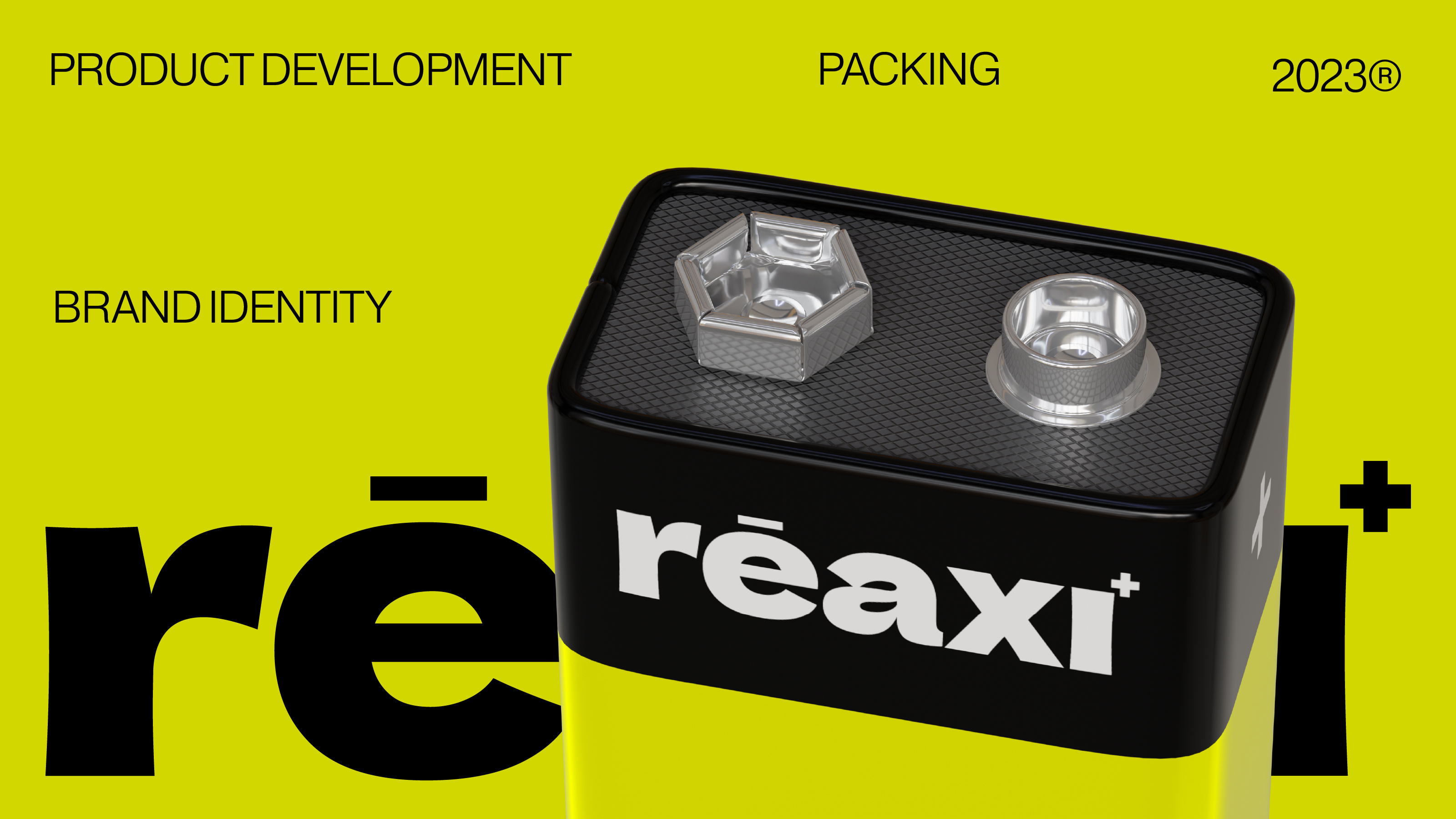 CONCEPT&DEVELOPMENT REAXI — Изображение №1 — Брендинг, 3D на Dprofile
