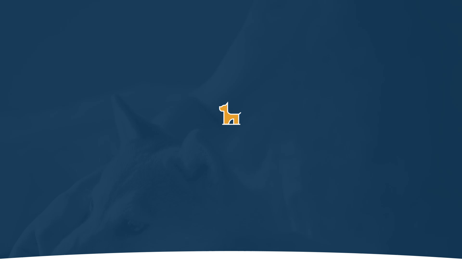 PETURAL / Pacakaging design for pets' food — Изображение №1 — Брендинг на Dprofile