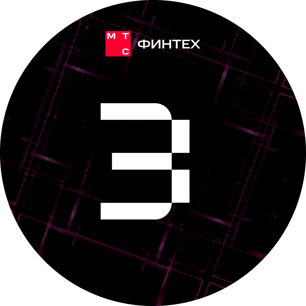 ХАКАТОН 2.0 – МТС Финтех — Изображение №12 — Графика, Маркетинг на Dprofile