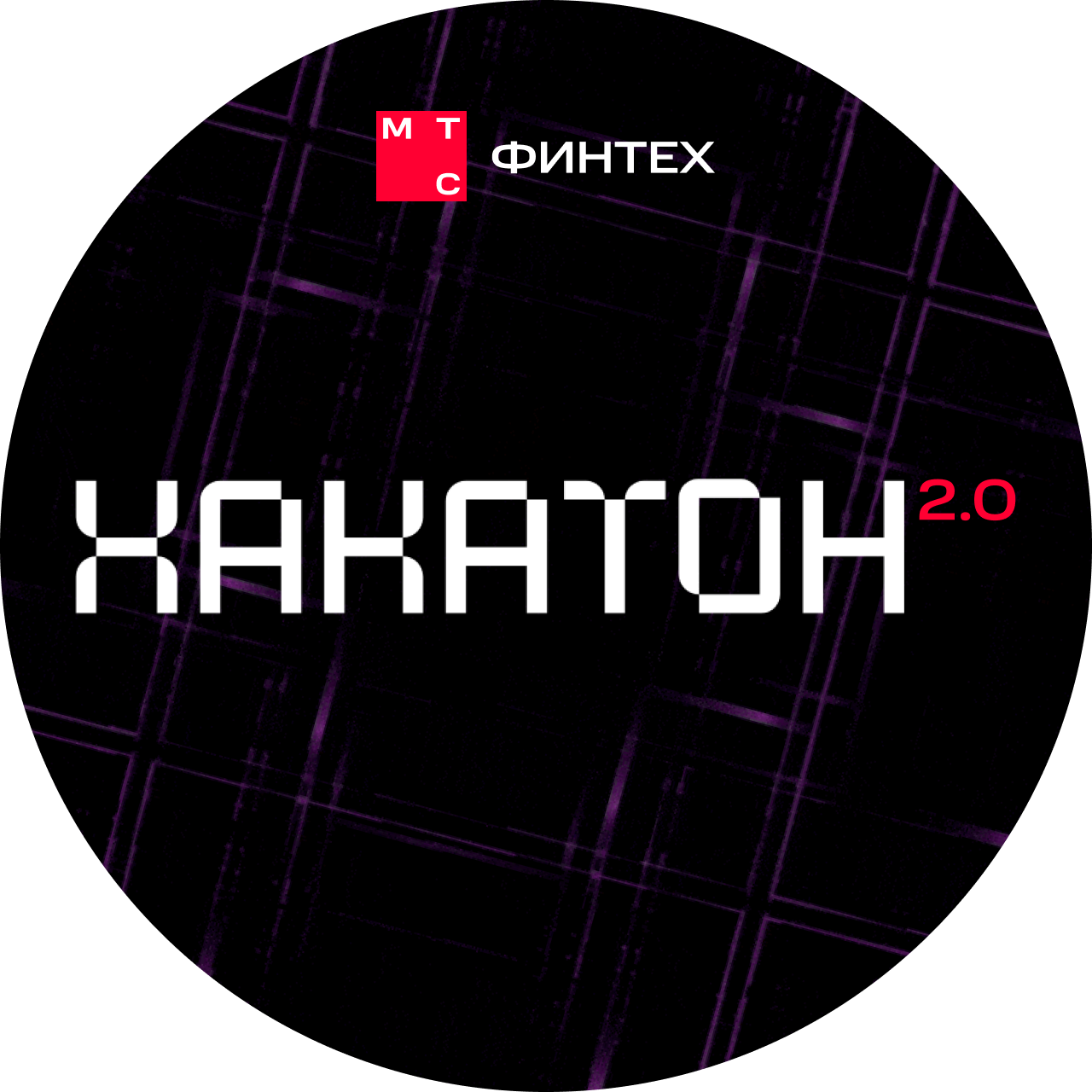 ХАКАТОН 2.0 – МТС Финтех — Изображение №9 — Графика, Маркетинг на Dprofile