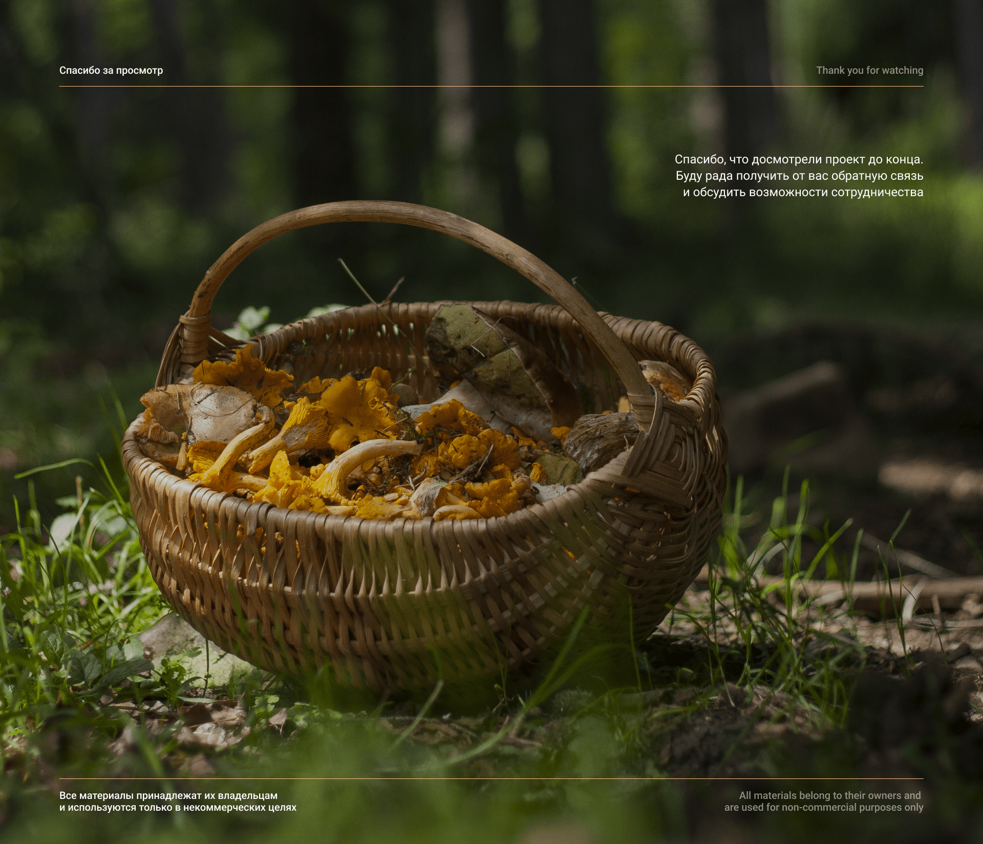Terve Ranta hospitality tourism website redesign — Изображение №9 — Интерфейсы на Dprofile