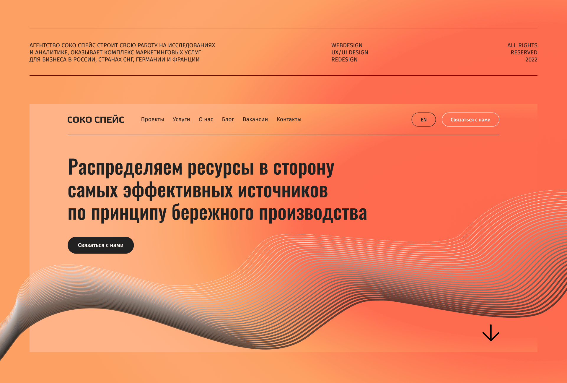 Website for SOKO SPACE digital agency — Изображение №1 — Интерфейсы на Dprofile